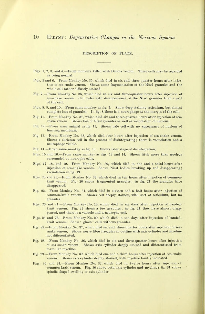 DESCRIPTION OF PLATE. Figs. 1, 2, 3, and 4.—From monkeys killed with Daboia venom. These cells may be regarded as being normal. Figs. 5 and 6.—From Monkey No. 36, which died in six and three-quarter hours after injec- tion of sea-snake venom. Shows some fragmentation of the Nissl granules and the whole cell rather diffusely stained. Fig. 7.—From Monkey No. 36, which died in six and three-quarter hours after injection of sea-snake venom. Cell paler with disappearance of the Nissl granules from a part of the cell. Figs. 8, 9, and 10.—From same monkey as fig. 7. Show deep-staining reticulum, but almost complete loss of granules. In fig. 8 there is a neurophage at the margin of the cell. Fig. 11.—From Monkey No. 37, which died six and three-quarter hours after injection of sea- snake venom. Shows loss of Nissl granules as well as vacuolation of nucleus. Fig. 12.—From same animal as fig. 11. Shows pale cell with no appearance of nucleus of limiting membrane. Fig. 13.—From Monkey No. 38, which died four hours after injection of sea-snake venom. Shows a skeleton cell in the process of disintegrating; there is vacuolation and a neurophage visible. Fig. 14.—From same monkey as fig. 13. Shows later stage of disintegration. Figs. 15 and 16.—From same monkey as figs. 13 and 14. Shows little more than nucleus surrounded by neurophe cells. Figs. 17, 18, and 19.—Prom Monkey No. 39, which died in one and a third hours after injection of sea-snake venom. Shows Nissl bodies breaking up and disappearing ; vacuolation in fig. 19. Figs. 20 and 21.—From Monkey No. 33, which died in ten hours after injection of common- krait venom. Fig. 20 shows fragmented granules; in fig. 21 the granules have disappeared. Pig. 22.—From Monkey No. 31, which died in sixteen and a half hours after injection of common-krait venom. Shows cell deeply stained, with sort of reticulum, but no granules. Pigs. 23 and 24.—From Monkey No. 18, which died in six days after injection of banded- krait venom. Fig. 23 shows a few granules ; in fig. 24 they have almost disap- peared, and there is a vacuole and a neurophe cell. Figs. 25 and 26.—Prom Monkey No. 20, which died in ten days after injection of banded- krait venom. Show  ghost  cells without granules. Fig. 27.—From Monkey No. 37, which died six and three-quarter hours after injection of sea- snake venom. Shows nerve fibre irregular in outline with axis cylinder and myeline not differentiated. Fig. 28.—Prom Monkey No. 36, which died in six and three-quarter hours after injection of sea-snake venom. Shows axis cylinder deeply stained and differentiated from foam-like myeline. Fig. 29.—From Monkey No. 39, which died one and a third hours after injection of sea-snake venom. Shows axis cylinder deeply stained, with myeline faintly indicated. Figs. 30 and 31.—From Monkey No. 32, which died in twelve hours after injection of common-krait venom. Fig. 30 shows both axis cylinder and myeline ; fig. 31 shows spindle-shaped swelling of axis cylinder.