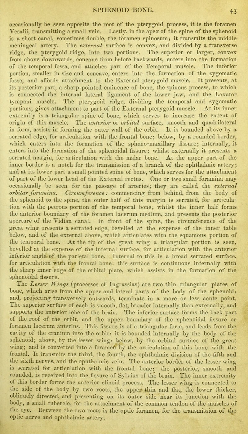 occasionally be seen opposite the root of the pterygoid process, it is the foramen Vesalii, transmitting a small vein. Lastly, in the apex of the spine of the sphenoid is a short canal, sometimes double, the foramen spinosum; it transmits the middle meningeal artery. The exteryial surface is convex, and divided by a transverse ridge, the pterygoid ridge, into two portions. The superior or larger, convex from above downwards, concave from before backwards, enters into the formation of the temporal fossa, and attaches part of the Temporal muscle. The inferior portion, .•smaller in size and concave, enters into the formation of the zygomatic fossa, and affords attachment to the External jDterygoid muscle. It presents, at its posterior part, a sharp-pointed eminence of bone, the spinous process, to which is connected the internal lateral ligament of the lower jaw, and the Laxator tympani muscle. The pterygoid ridge, dividing the temporal and zygomatic portions, gives attachment to part of the External pterygoid muscle. At its inner extremity is a triangular spine of bone, which serves to increase the extent of origin of this muscle. The anterior or orbital surface, smooth and quadrilateral in form, assists in forming the outer wall of the oi'bit. It is bounded above by a serrated edge, for articulation with the frontal bone; below, by a rounded border, which enters into the formation of the spheno-maxillary fissure; internally, it enters into the formation of the sphenoidal fissure; whilst externally it presents a serrated margin, for articulation with the malar bone. At the upper part of the inner border is a notch for the transmission of a branch of the ophthalmic artery; and at its lower part a small pointed spine of bone, which serves for the attachment of part of the lower head of the External rectus. One or two small foramina may occasionally be seen for the passage of arteries; they are called the external orbitar foramina. Circumference: commencing from behind, from the body of the sphenoid to the spine, the outer half of this margin is sen-ated, for articula- tion with the petrous portion of the temporal bone; whilst the inner half forms the anterior boundary of the foramen lacerum medium, and presents the posterior aperture of the Vidian canal. In front of the spine, the circumference of the great wing presents a serrated edge, bevelled at the expense of the inner table below, and of the external above, which articulates with the squamous portion of the temporal bone. At the tip of the great wing a triangular portion is seen, bevelled at the expense of the internal surface, for articulation with the anterior inferior angle- of the parietal bone. Internal to this is a broad serrated surface, for articulation wi/th the frontal bone: this surface is continuous internally with the sharp inner edge of the orbital plate, which assists in the formation of the sphenoidal fissure. The Lesser Wings (processes of Ingrassias) are two thin triangular plates of bone, which arise from the upper and lateral parts of the body of the sphenoid; and, projecting ti'ansversely outwards, terminate in a more or less acute point. The superior surface of each is smooth, flat, broader internally than externally, and supports the anterior lobe of the brain. The inferior surface forms the back part of the roof of the orbit, and the upper boundary of the sphenoidal fissure or foramen lacerum anterius. This fissure is of a triangular form, and leads from the cavity of the cranium into the orbit; it is bounded internally by the body of the sphenoid; above, by the lesser wing; below, by the orbital surface of the great Aving; and is converted into a foramerf by the articulation of this bone with the frontal. It transmits the third, the fourth, the ophthalmic division of the fifth and the sixth nerves, and the ophthalmic vein. The anterior border of the lesser wing is serrated for articulation with the frontal bone; the posterior, smooth and rounded, is received into the fissure of Sylvius of the brain. The inner extremity of this border forms the anterior cliuoid process. The lesser wing is connected to the side of the body by two roots, the upper thin and flat, the lower thicker, obliquely directed, and presenting on its outer side near its junction with the body, a small tubercle, for the attachment of the common tendon of the muscles of the eye. Between the tvro roots is the optic foramen, for the transmission of the optic nerve and ophthalmic artery.