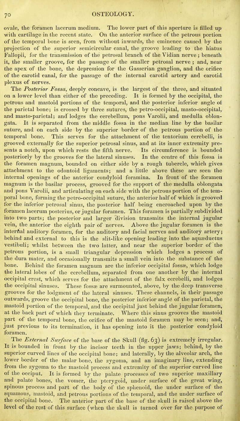 ovale, the foramen lacerum medium. The lower part of this aperture is filled up with cartilage in the recent state. On the anterior surface of the petrous portion of the temporal bone is seen, from without inwards, the eminence caused by the projection of the superior semicircular canal, the groove leading to the hiatus Fallopii, for the transmission of the petrosal branch of the Vidian nerve ; beneath it, the smaller groove, for the passage of the smaller petrosal nerve ; and, near the apex of the bone, the depression for the Gasserian ganglion, and the orifice of the carotid canal, for the passage of the internal carotid artery and carotid plexus of nerves. The Posterior Fossa, deeply concave, is the largest of the three, and situated on a lower level than either of the preceding. It is formed by the occipital, the petrous and mastoid portions of the temporal, and the posterior inferior angle of the parietal bone; is crossed by three sutures, the petro-occipital, masto-occipital, and masto-parietal; and lodges the cerebellum, pons Varolii, and medulla oblon- gata. It is separated from the middle fossa in the median line by the basilar suture, and on each side by the superior border of the petrous portion of the temporal bone. This serves for the attachment of the tentorium cerebelli, is grooved externally for the superior petrosal sinus, and at its inner extremity pre- sents a notch, upon which rests the fifth nerve. Its circumference is bounded posteriorly by the grooves for the lateral sinuses. In the centre of this fossa is the foramen magnum, bounded on either side by a rough tubercle, which gives attachment to the odontoid ligaments; and a little above these are seen the internal openings of the anterior condyloid foramina. In front of the foramen magnum is the basilar process, grooved for the support of the medulla oblongata and pons Varolii, and articulating on each side with the petrous portion of the tem- poral bone, forming the petro-occipital suture, the anterior half of which is grooved for the inferior petrosal sinus, the posterior half being encroached upon by the foramen lacerum posterius, or jugular foramen. This foramen is partially subdivided into two parts; the posterior and larger division transmits the internal jugular vein, the anterior the eighth pair of nerves. Above the jugular foramen is the interdal auditory foramen, for the auditory and facial nerves and auditory artery; behind and external to this is the slit-like opening leading into the aquaeductus vestibuli; whilst between the two latter, and near the superior border of the petrous portion, is a small triangular depression which lodges a process of the dura mater, and occasionally transmits a small vein into the substance of the bone. Behind the foramen magnum are the inferior occipital fossae, which lodge the lateral lobes of the cerebellum, separated from one another by the internal occipital crest, which serves for the attachment of the falx cerebelli, and lodges the occipital sinuses. These fossse are surmounted, above, by the deep transverse grooves for the lodgment of the lateral sinuses. These channels, in their passage outwards, groove the occipital bone, the posterior inferior angld of the parietal, the mastoid portion of the temporal, and the occipital just behind the jugular foramen, at the back part of which they terminate. Where this sinus grooves the mastoid part of the temporal bone, the orifice of the mastoid foramen may be seen; and, just previous to its tei-mination, it has opening into it the postei-ior condyloid foramen. The External Surface of the base of the Skull (fig. 63) is extremely irregular. It is bounded in front by the incisor teeth in the upper jaws; behind, by the superior curved lines of the occipital bone; and laterally, by the alveolar arch, the lower border of the malar bone, the zygoma, and an imaginary line, extending from the zygoma to the mastoid process and extremity of the superior curved line of the occiput. It is formed by the palate processes of two superior maxillary and palate bones, the vomer, the pterygoid, under surface of the great wing, spinous process and part of the body of the sphenoid, the under surface of the squamous, mastoid, and petrous portions of the temporal, and the under surface of the occipital bone. The anterior part of the base of the skull is raised above the level of the rest of this surface (when the skull is turned over for the purpose of