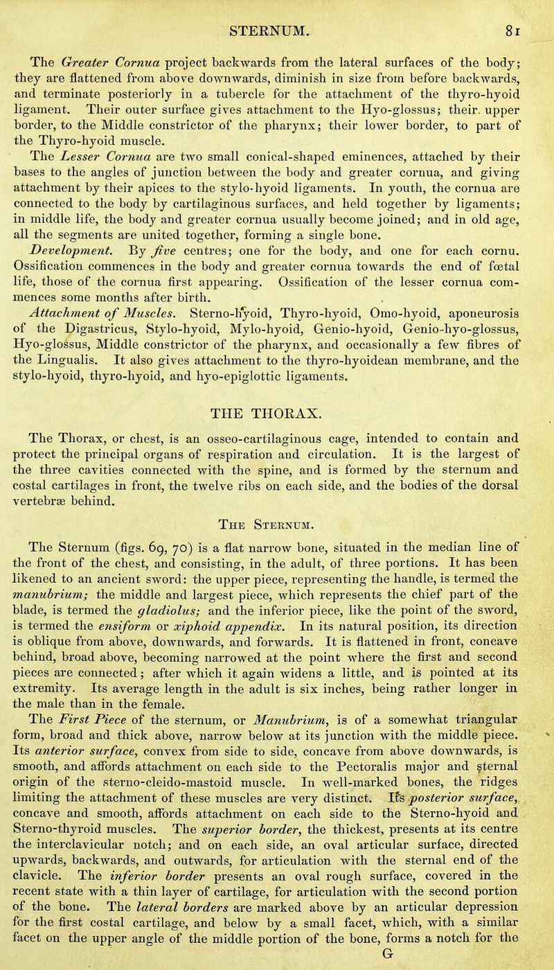 The Greater Cornua project backwards from the lateral surfaces of the body; they are flattened from above downwards, diminish in size from before backwards, and terminate posteriorly in a tubercle for the attachment of the thyro-hyoid ligament. Their outer surface gives attachment to the Hyo-glossus; their, upper border, to the Middle constrictor of the pharynx; their lower border, to part of the Thyro-hyoid muscle. The Lesser Cornua are two small conical-shaped eminences, attached by their bases to the angles of junction between the body and greater cornua, and giving attachment by their apices to the stylo-hyoid ligaments. In youth, the cornua are connected to the body by cartilaginous surfaces, and held together by ligaments; in middle life, the body and greater cornua usually become joined; and in old age, all the segments are united together, forming a single bone. Development. By Jive centres; one for the body, and one for each cornu. Ossification commences in the body and greater cornua towards the end of foetal life, those of the cornua first appearing. Ossification of the lesser cornua com- mences some months after birth. Attachment of Muscles. Sterno-hyoid, Thyro-hyoid, Omo-hyoid, aponeurosis of the Digastricus, Stylo-hyoid, Mylo-hyoid, Genio-hyoid, Genio-hyo-glossus, Hyo-glossus, Middle constrictor of the pharynx, and occasionally a few fibres of the Lingualis. It also gives attachment to the thyro-hyoidean membrane, and the stylo-hyoid, thyro-hyoid, and hyo-epiglottic ligaments. THE THORAX. The Thorax, or chest, is an osseo-cartilaginous cage, intended to contain and protect the principal organs of respiration and circulation. It is the largest of the three cavities connected with the spine, and is formed by the sternum and costal cartilages in front, the twelve ribs on each side, and the bodies of the dorsal vertebrae behind. The Sternum. The Sternum (figs. 69, 70) is a flat narrow bone, situated in the median line of the front of the chest, and consisting, in the adult, of three portions. It has been likened to an ancient sword: the upper piece, representing the handle, is termed the manubrium; the middle and largest piece, which represents the chief part of the blade, is termed the gladiolus; and the inferior piece, like the point of the sword, is termed the ensiform or xiphoid appendix. In its natural position, its direction is oblique from above, downwards, and forwards. It is flattened in front, concave behind, broad above, becoming narrowed at the point where the first and second pieces are connected; after which it again widens a little, and is pointed at its extremity. Its average length in the adult is six inches, being rather longer in the male than in the female. The First Piece of the sternum, or Manubrium, is of a somewhat triangular form, broad and thick above, narrow below at its junction with the middle piece. Its anterior surface, convex from side to side, concave from above downwards, is smooth, and affords attachment on each side to the Pectoralis major and ^ternal origin of the sterno-cleido-mastoid muscle. In well-marked bones, the ridges limiting the attachment of these muscles are very distinct. Its posterior surface, concave and smooth, affords attachment on each side to the Sterno-hyoid and Sterno-thyroid muscles. The superior border, the thickest, presents at its centre the interclavicular notch; and on each side, an oval articular surface, directed upwards, backwards, and outwards, for articulation with the sternal end of the clavicle. The inferior border presents an oval rough surface, covered in the recent state with a thin layer of cartilage, for articulation with the second portion of the bone. The lateral borders are marked above by an articular depression for the first costal cartilage, and below by a small facet, which, with a similar facet on the upper angle of the middle portion of the bone, forms a notch for the G