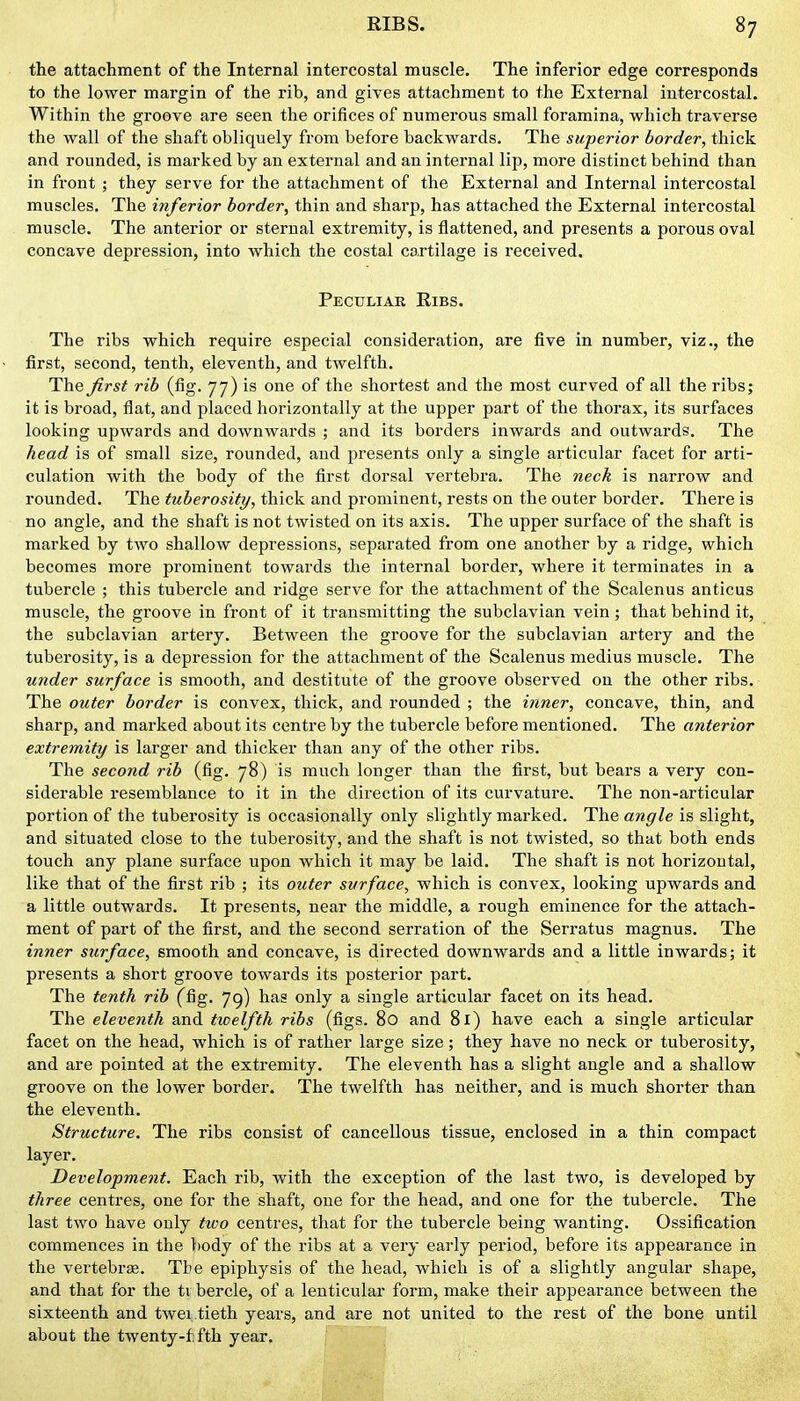 the attachment of the Internal intercostal muscle. The inferior edge corresponds to the lower margin of the rib, and gives attachment to the External intercostal. Within the groove are seen the orifices of numerous small foramina, which traverse the wall of the shaft obliquely from before backwards. The superior border, thick and rounded, is marked by an external and an internal lip, more distinct behind than in front ; they serve for the attachment of the External and Internal intercostal muscles. The inferior border, thin and shai*p, has attached the External intercostal muscle. The anterior or sternal extremity, is flattened, and presents a porous oval concave depression, into which the costal cartilage is received. Peculiar Ribs. The ribs which require especial consideration, are five in number, viz., the first, second, tenth, eleventh, and twelfth. The first rib (fig. 77) is one of the shortest and the most curved of all the ribs; it is broad, flat, and placed horizontally at the upper part of the thorax, its surfaces looking upwards and downwards ; and its borders inwards and outwards. The head is of small size, rounded, aud presents only a single articular facet for arti- culation with the body of the first dorsal vertebra. The neck is narrow and rounded. The tuberosity, thick and prominent, rests on the outer border. There is no angle, and the shaft is not tAvisted on its axis. The upper surface of the shaft is marked by two shallow depressions, separated from one another by a ridge, which becomes more prominent towards the internal border, where it terminates in a tubercle ; this tubercle and ridge serve for the attachment of the Scalenus anticus muscle, the groove in front of it transmitting the subclavian vein; that behind it, the subclavian artery. Between the groove for the subclavian artery and the tuberosity, is a depression for the attachment of the Scalenus medius muscle. The under surface is smooth, and destitute of the groove observed on the other ribs. The outer border is convex, thick, and I'ounded ; the inner, concave, thin, and sharp, and marked about its centre by the tubercle before mentioned. The anterior extremity is larger and thicker than any of the other ribs. The second rib (fig. 78) is much longer than the first, but bears a very con- siderable resemblance to it in the direction of its curvature. The non-articular portion of the tuberosity is occasionally only slightly marked. The angle is slight, and situated close to the tuberosity, and the shaft is not twisted, so that both ends touch any plane surface upon which it may be laid. The shaft is not horizontal, like that of the first rib ; its outer surface, which is convex, looking upwards and a little outwards. It pi-esents, near the middle, a rough eminence for the attach- ment of part of the first, and the second serration of the Serratus magnus. The inner surface, smooth and concave, is directed downwards and a little inwards; it presents a short groove towards its posterior part. The tenth rib ffig. 79) has only a single articular facet on its head. The eleventh and twelfth ribs (figs. 80 and 81) have each a single articular facet on the head, which is of rather large size; they have no neck or tuberosity, and are pointed at the extremity. The eleventh has a slight angle and a shallow groove on the lower border. The twelfth has neither, and is much shorter than the eleventh. Structure. The ribs consist of cancellous tissue, enclosed in a thin compact layer. Development. Each rib, with the exception of the last two, is developed by three centres, one for the shaft, one for the head, and one for the tubercle. The last two have only tivo centres, that for the tubercle being wanting. Ossification commences in the body of the ribs at a very early period, before its appearance in the vertebrse. The epiphysis of the head, which is of a slightly angular shape, and that for the ti bercle, of a lenticular form, make their appearance between the sixteenth and twei tieth years, and are not united to the rest of the bone until about the twenty-ffth year.