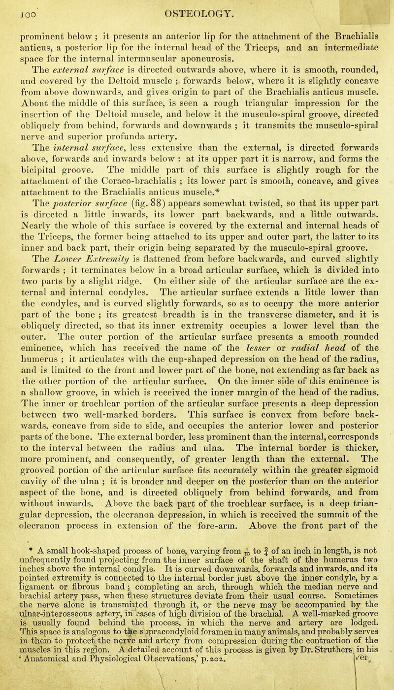 prominent below; it presents an anterior lip for the attachment of the Brachialis anticus, a posterior lip for the internal head of the Triceps, and an intermediate space for the internal intermuscular aponeurosis. The external surface is directed outwards above, where it is smooth, rounded, and covered by the Deltoid muscle ; forwards below, where it is slightly concave from above downwards, and gives origin to part of the Brachialis anticus muscle. About the middle of this surface, is seen a rough triangular impression for the insertion of the Deltoid muscle, and below it the musculo-spiral groove, directed obliquely from behind, forwards and downwards ; it transmits the musculo-spiral nerve and superior profunda artery. The internal surface, less extensive than the external, is directed forwards above, forwards and inwards below : at its upper part it is narrow, and forms the bicipital groove. The middle part of this surface is slightly rough for the attachment of the Coraco-brachialis ; its lower part is smooth, concave, and gives attachment to the Brachialis anticus muscle.* The posterior surface (fig. 88) appears somewhat twisted, so that its upper part is directed a little inwards, its lower part backwards, and a little outwards. Nearly the whole of this surface is covered by the external and inteimal heads of the Triceps, the former being attached to its upper and outer part, the latter to its inner and back part, their origin being separated by the musculo-spiral groove. The Loicer Extremif)/ is flattened from before backwards, and curved slightly forwards ; it terminates below in a broad articular surface, which is divided into two parts by a slight ridge. On either side of the articular surface are the ex- ternal and internal condyles. The articular surface extends a little lower than the condyles, and is curved slightly forwards, so as to occupy the more anterior part of the bone ; its greatest breadth is in the transverse diameter, and it is obliquely directed, so that its inner extremity occupies a lower level than the outer. The outer portion of the articular surface presents a smooth rounded eminence, which has received the name of the lesser or radial head of the humerus ; it articulates with the cup-shaped depression on the head of the radius, and is limited to the front and lower part of the bone, not extending as far back as the other portion of the articular surface. On the inner side of this eminence is a shallow groove, in which is received the inner margin of the head of the radius. The inner or trochlear portion of the articular surface presents a deep depression between two well-marked borders. This surface is convex from before back- wards, concave from side to side, and occupies the anterior lower and posterior parts of the bone. The external border, less prominent than the internal, corresponds to the interval between the radius and ulna. The internal border is thicker, more prominent, and consequently, of greater length than the external. The grooved portion of the articular surface fits accurately within the greater sigmoid cavity of the ulna ; it is broader and deeper on the posterior than on the anterior aspect of the bone, and is directed obliquely from behind forwards, and from without inwards. Above the back part of the trochlear surface, is a deep trian- gular depression, the olecranon depression, in which is received the summit of the olecranon process in extension of the fore-arm. Above the front part of the • A small hook-shaped process of bone, varying from to | of an inch in length, is not unfrequently found projecting from the inner surface of the shaft of the humerus two inches above the internal condyle. It is curved downwards, forwards and inwards, and its pointed extremity is connected to the internal border just above the inner condyle, by a ligament or fibrous band: completing an arch, through which the median nerve and brachial artery pass, when t lese structures deviate from their usual course. Sometimes the nerve alone is transmitted through it, or the nerve may be accompanied by the ulnar-interosseous artery, in oases of high division of the brachial. A well-marked groove is usually found behind the process, in which the nerve and artery are lodged. This space is analogous to the s ipracondyloid foramen in many animals, and probably serves in them to protect the nerve and artery from compression during the contraction of the muscles in this region. A detailed account of this process is given by Dr. Struthers. in his ' Anatomical and Physiological Observations,' p.aoa. v'ei^,