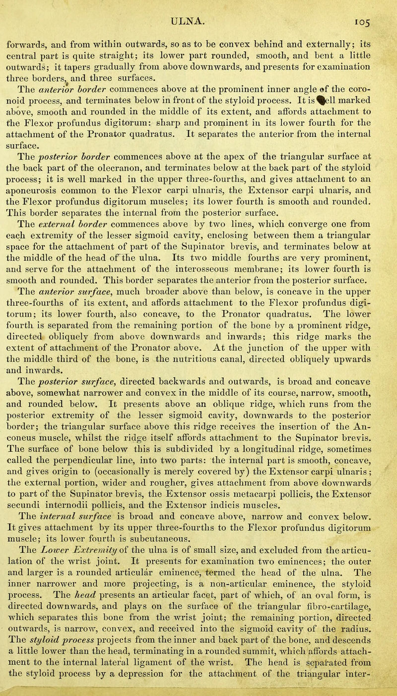 forwards, and from within outwards, so as to be convex behind and externally; its central part is quite straight; its lower part rounded, smooth, and bent a little outwards; it tapers gradually from above downwards, and presents for examination three borders, and three surfaces. The anterior border commences above at the prominent inner angle of the coro- noid process, and terminates below in front of the styloid process. It is%ell marked above, smooth and rounded in the middle of its extent, and affords attachment to the Flexor profundus digitorum: sharp and prominent iu its lower fourth for the attachment of the Pronator quadratus. It separates the anterior from the internal surface. The posterior border commences above at the apex of the triangular surface at the back part of the olecranon, and terminates below at the back part of the styloid process; it is well marked in the upper three-fourths, and gives attachment to an aponeurosis common to the Flexor carpi ulnaris, the Extensor carpi ulnaris, and the Flexor profundus digitorum muscles; its lower fourth is smooth and rounded. This border separates the internal from the posterior surface. The external border commences above by two lines, which converge one from each extremity of the lesser sigmoid cavity, enclosing between them a triangular space for the attachment of part of the Supinator brevis, and terminates below at the middle of the head of the ulna. Its two middle fourths are very prominent, and serve for the attachment of the interosseous membrane; its lower fourth is smooth and rounded. This border separates the anterior from the posterior surface. The anterior surface, much broader above than below, is concave in the upper three-fourths of its extent, and affords attachment to the Flexor profundus digi- torum; its lower fourth, also concave, to the Pronator quadratus. The lower fourth is separated from the remaining portion of the bone by a prominent ridge, directed obliquely from above downwards and inwards; this ridge marks the extent of attachment of the Pronator above. At the junction of the upper with the middle third of the bone, is the nutritious canal, directed obliquely upwards and inwards. The posterior surface, directed backwards and outwards, is broad and concave above, somewhat narrower and convex in the middle of its course, narrow, smooth, and rounded below. It presents above an oblique ridge, which runs from the posterior extremity of the lesser sigmoid cavity, downwards to the posterior border; the triangular surface above this ridge receives the insertion of the An- coneus muscle, whilst the ridge itself affords attachment to the Supinator brevis. The surface of bone below this is subdivided by a longitudinal ridge, sometimes called the perpendicular line, into two parts: the internal part is smooth, concave, and gives origin to (occasionally is merely covered by) the Extensor carpi ulnaris; the external portion, wider and rougher, gives attachment from above downwards to part of the Supinator brevis, the Extensor ossis metacarpi poUicis, the Extensor secundi internodii poUicis, and the Extensor indicis muscles. The internal surface is broad and concave above, narrow and convex below. It gives attachment by its upper three-fourths to the Flexor profundus digitorum muscle; its lower fourth is subcutaneous. The Lower Extremity o? the ulna is of small size, and excluded from the articu- lation of the wrist joint. It presents for examination two eminences; the outer and larger is a rounded articular eminence, termed the head of the ulna. The inner narrower and more projecting, is a non-articular eminence, the styloid process. The head presents an articular facet, part of which, of an oval form, is directed downwards, and plays on the surface of the triangular fibro-cartilage, which separates this bone from the wrist joint; the remaining portion, directed outwards, is narrow, convex, and received into the sigmoid cavity of the radius. The styloid process projects from the inner and back part of the bone, and descends a little lower than the head, terminating in a rounded summit, which affords attach- ment to the internal lateral ligament of the wrist. The head is separated from the styloid process by a depression for the attachment of the triangular inter-