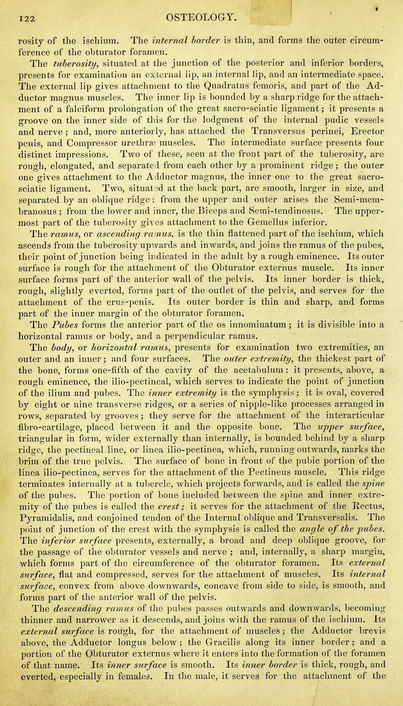 t rosity of the ischium. The internal border is thin, and forms the outer circum- ference of the obturator foramen. The tuberosity, situated at tlie junction of the posterior and inferior borders, presents for examination an external lip, an internal lip, and an intermediate space. The external lip gives attachment to the Quadratus femoris, and part of the Ad- ductor magnus muscles. The inner lip is bounded by a sharp ridge for the attach- ment of a falciform prolongation of the gi-eat sacro-sciatic ligament; it presents a groove on the inner side of this for the lodgment of the internal pudic vessels and nerve ; and, more anteriorly, lias attached the Transversus perinei. Erector penis, and Compressor urethral muscles. The intermediate surface presents four distinct impressions. Two of these, seen at the front part of the tuberosity, are rough, elongated, and separated from each other by a prominent ridge; the outer one gives attachment to the Adductor magnus, the inner one to the great sacro- sciatic ligament. Two, situated at the back part, are smooth, larger in size, and separated by an oblique ridge: from the upper and outer arises the Semi-mem- branosus ; from the lower and inner, the Biceps and Semi-tendinosus. The upper- most part of the tuberosity gives attachment to the Gemellus inferior. The ramus, or ascending ramus, is the thin flattened part of the ischium, which ascends from the tuberosity upwards and inwards, and joins the ramus of the pubes, their point of junction being indicated in the adult by a rough eminence. Its outer surface is rough for the attachment of the Obturator externus muscle. Its inner surface forms part of the anterior wall of the pelvis. Its inner border is thick, rough, slightly everted, forms part of the outlet of the pelvis, and serves for the attachment of the ci'us-penis. Its outer border is thin and sharp, and forms part of the inner margin of the obturator foramen. The Pubes forms the anterior part of the os innominatum; it is divisible into a horizontal ramus or body, and a perpendicular ramus. The body, or horizontal ramus, presents for examination two extremities, an outer and an inner; and four surfaces. The outer extremity, the thickest part of the bone, forms one-fifth of the cavity of the acetabulum: it presents, above, a rough eminence, the ilio-pectineal, which serves to indicate the point of junction of the ilium and pubes. The inner extremity is the symphysis; it is oval, covered by eight or nine transverse ridges, or a series of nipple-like processes arranged in rows, separated by grooves ; they serve for the attachment of the interarticular fibro-cartilage, placed between it and the opposite bone. The upper surface, triangular in form, wider externally than internally, is bounded behind by a sharp ridge, the pectineal line, or linea ilio-pectinea, which, running outwards, marks the brim of tlie true pelvis. The surface of bone in front of the pubic portion of the linea ilio-pectinea, serves for the attachment of the Pectineus muscle. This ridge terminates internally at a tubercle, which projects forwards, and is called the spine of the pubes. The portion of bone included between the spine and inner extre- mity of the pubes is called the crest; it serves for the attachment of the Rectus, Pyramidalis, and conjoined tendon of the Internal oblique and Transversalis. The point of junction of the crest with the symphysis is called the a^igle of the pubes. The inferior surface presents, externally, a broad and deep oblique groove, for the passage of the obturator vessels and nerve ; and, internally, a sharp margin, which forms part of the circumference of the obturator foramen. Its external surface, flat and compressed, serves for the attachment of muscles. Its internal surface, convex from above downwards, concave from side to side, is smooth, and forms part of the anterior wall of the pelvis. The descending ramus of the pubes passes outwards and downwards, becoming thinner and narrower as it descends, and joins with the ramus of the ischium. Its external surface is rough, for the attachment of muscles; the Adductor brevis above, the Adductor longus below; the Gracilis along its inner border; and a portion of the Obturator externus where it enters into the formation of the foramen of that name. Its inner surface is smooth. Its inner border is thick, rough, and everted, especially in females. In the male, it serves for the attachment of the j