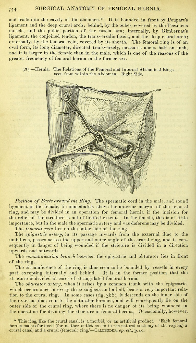 and leads into the cavity of the abdomen.* It is bounded in front by Poupart's ligament and the deep crural arch; behind, by the pubes, covered by the Pectiiieus muscle, and the pubic portion of the fascia lata; internally, by Gimbernat's ligament, the conjoined tendon, the transversalis fascia, and the deep crural arch; externally, by the femoral vein, covered by its sheath. The femoral ring is of an oval form, its long diameter, directed transversely, measures about half an inch, and it is larger in the female than in the male, which is one of the reasons of the greater frequency of femoral hernia in the former sex. 385.—Hernia. The Relations of the Femoral and Internal Abdominal Eings, seen from within the Abdomen. Right Side. Position of Parts around the Ring. The spermatic cord in the male, and round ligament in the female, lie immediately above the anterior margin of the femoral ring, and may be divided in an operation for femoral hernia if the incision for the relief of the stricture is not of limited extent. In the female, this is of little importance, but in the male the spermatic arteiy and vas deferens may be divided. The femoral vein lies on the outer side of the ring. The epigastric artery, in its passage inwai'ds from the external iliac to the umbilicus, passes across the upper and outer angle of the crural ring, and is con- sequently in danger of being wounded if the stricture is divided in a direction upwards and outwards. The communicating branch between the epigastric and obturator lies in front of the ring. The circumference of the ring is thus seen to be bounded by vessels in every part excepting internally and behind. It is in the former position that the stricture is divided in cases of strangulated femoi-al hernia. The obturator artery, when it arises by a common trunk with the epigastric, which occurs once in every three subjects and a half, bears a very important rela- tion to the crural ring. In some cases (fig. 386), it descends on the inner side of the external iliac vein to the obturator foramen, and will consequently lie on the outer side of the crural ring, where there is no danger of its being wounded in the operation for dividing the stricture in femoral hernia Occasionally, however, * This ring, like the crural canal, is a morbid, or an artificial product. 'Each femoral hernia makes for itself (for neither outlet exists in the natural anatomy of the region,) a crural canal, and a crural (femoral) ring.'—Callender, op. cit., p. 4.0.