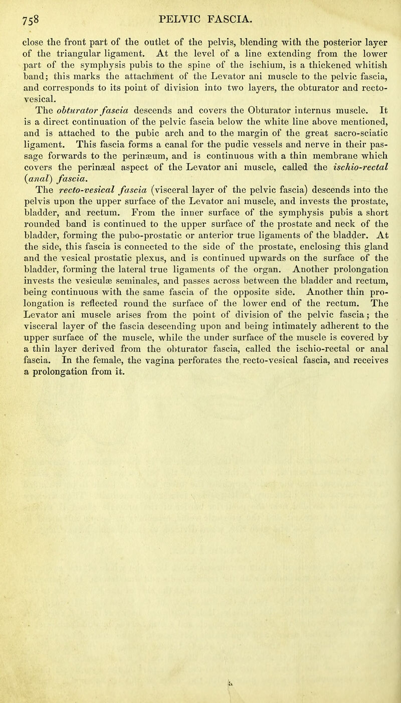 close the front part of the outlet of the pelvis, blending with the posterior layer of the triangular ligament. At the level of a line extending from the lower part of the symphysis pubis to the spine of the ischium, is a thickened whitish band; this marks the attachment of the Levator ani muscle to the pelvic fascia, and corresponds to its point of division into two layers, the obturator and recto- vesical. The obturator fascia descends and covers the Obturator internus muscle. It is a direct continuation of the pelvic fascia below the white line above mentioned, and is attached to the pubic arch and to the margin of the great sacro-sciatic ligament. This fascia forms a canal for the pudic vessels and nerve in their pas- sage forwards to the perinaeum, and is continuous with a thin membrane which covers the perineal aspect of the Levator ani muscle, called the ischio-rectal {anal) fascia. The recto-vesical fascia (visceral layer of the pelvic fascia) descends into the pelvis upon the upper surface of the Levator ani muscle, and invests the prostate, bladder, and rectum. From the inner surface of the symphysis pubis a short rounded band is continued to the upper surface of the prostate and neck of the bladder, forming the pubo-prostatic or anterior true ligaments of the bladder. At the side, this fascia is connected to the side of the prostate, enclosing this gland and the vesical prostatic plexus, and is continued upwards on the surface of the bladder, forming the lateral true ligaments of the organ. Another prolongation invests the vesiculte seminales, and passes across between the bladder and rectum, being continuous with the same fascia of the opposite side. Another thin pro- longation is reflected round the surface of the lower end of the rectum. The Levator ani muscle arises from the point of division of the pelvic fascia; the visceral layer of the fascia descending upon and being intimately adherent to the upper surface of the muscle, while the under surface of the muscle is covered by a thin layer derived from the obturator fascia, called the ischio-rectal or anal fascia. In the female, the vagina perforates the recto-vesical fascia, and receives a prolongation from it.