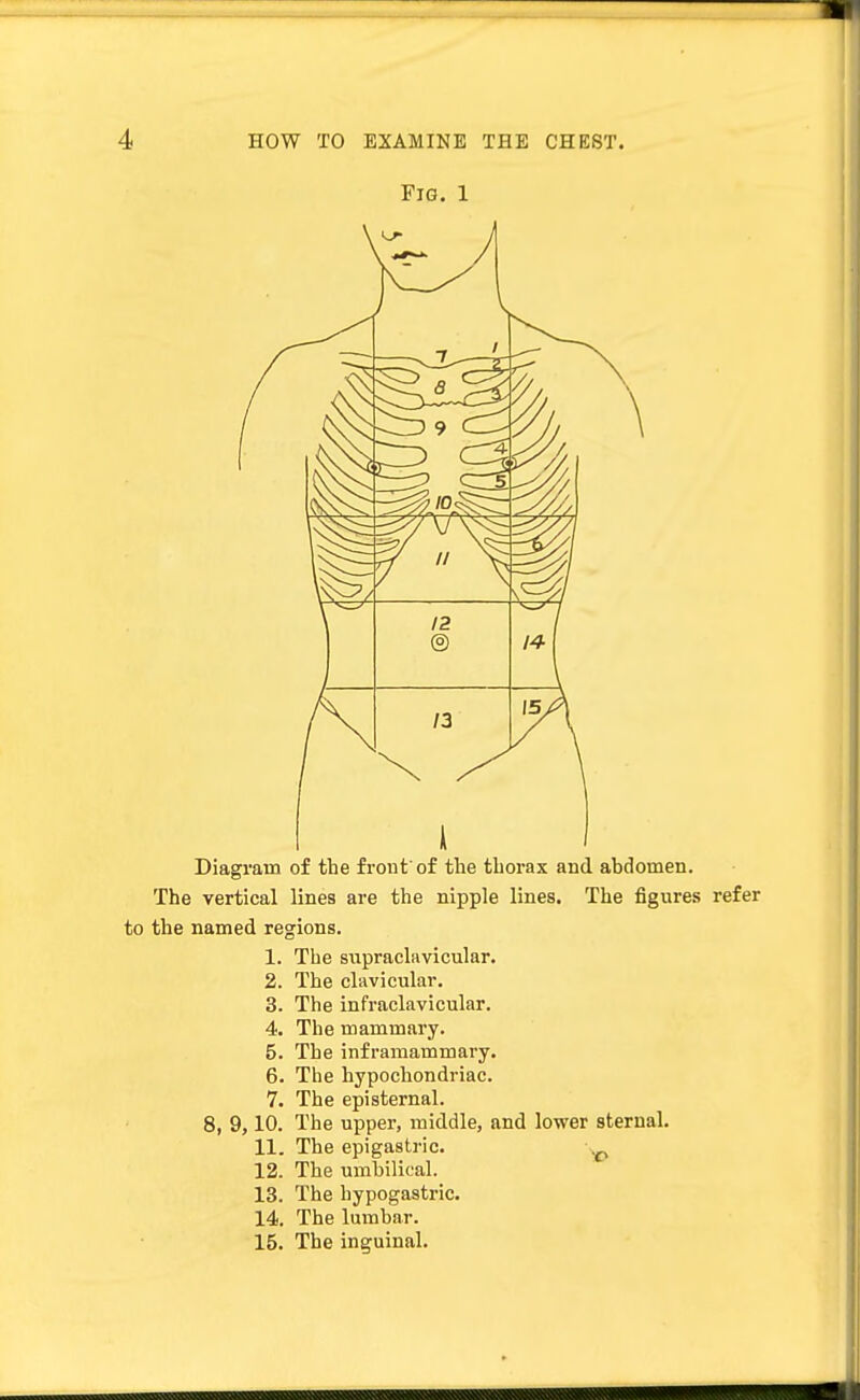 Fig. 1 Diagram of the front'of the thorax and abdomen. The vertical lines are the nipple lines. The figures refer to the named regions. 1. The supraclavicular. 2. The clavicular. 3. The infraclavicular. 4. The mammary. 5. The inframammary. 6. The hypochondriac. 7. The episternal. 8, 9,10. The upper, middle, and lower sternal. 11. The epigastric. 0 12. The umbilical. 13. The hypogastric. 14. The lumbar. 15. The inguinal.
