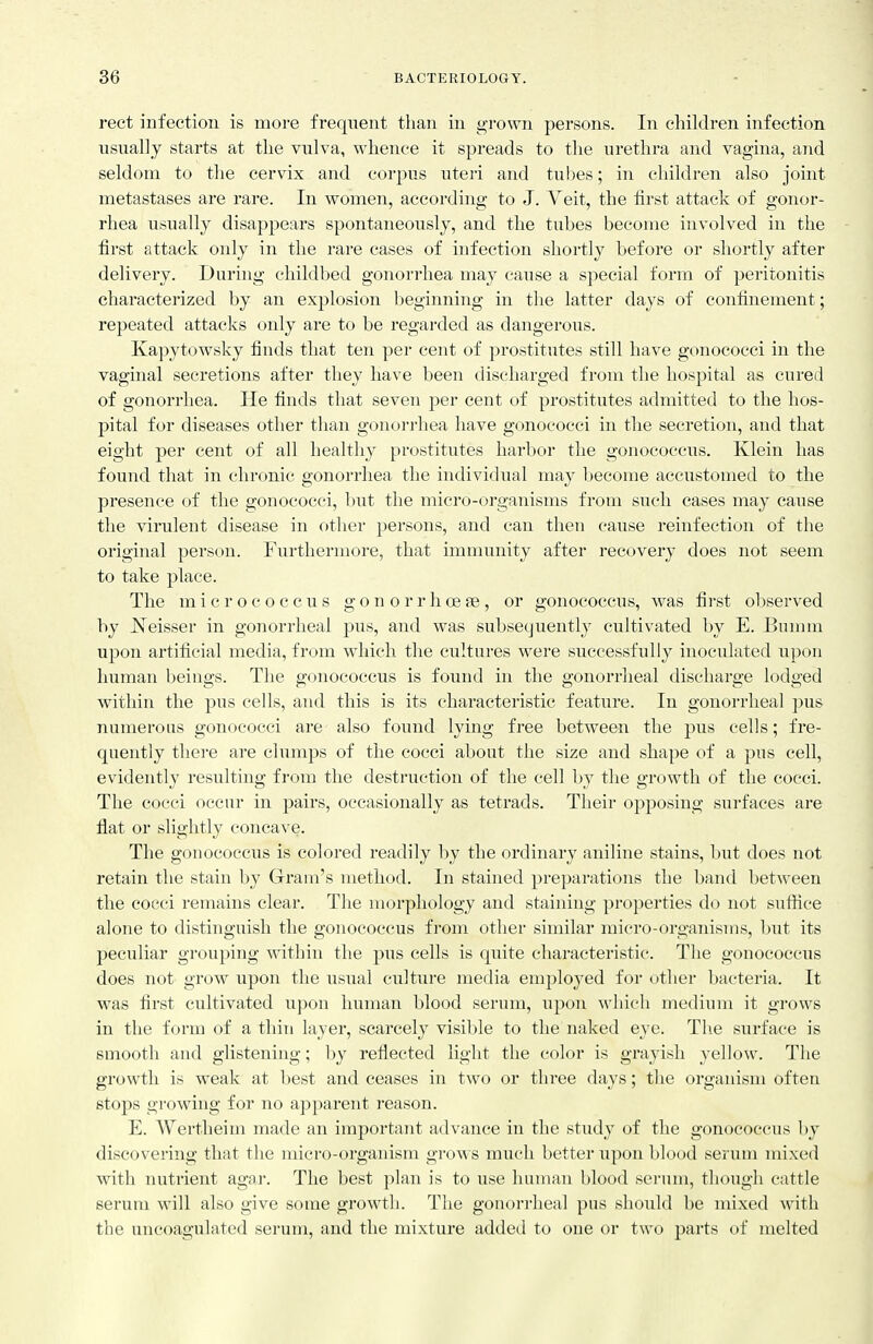rect infection is more frequent than in grown persons. In children infection usually starts at the vulva, whence it spreads to the urethra and vagina, and seldom to the cervix and corpus utei'i and tubes; in children also joint metastases are rare. In women, according to J. Veit, the first attack of gonor- rhea usually disappears spontaneously, and the tubes become involved in the first attack only in the rare cases of infection shortly before or shortly after delivery. During childbed gonorrhea may cause a special form of peritonitis characterized by an explosion beginning in the latter days of confinement; repeated attacks only are to be regarded as dangerous. Kapytowsky finds that ten per cent of prostitutes still have gonococci in the vaginal secretions after they have been discharged from the hospital as cured of gonorrhea. He finds that seven per cent of prostitutes admitted to the hos- pital for diseases other than gonorrhea have gonococci in the secretion, and that eight per cent of all healthy prostitutes harbor the gonococcus. Klein has found that in chronic gonorrhea the individual may become accustomed to the presence of the gonococci, but the micro-organisms from such cases may cause the virulent disease in other persons, and can then cause reinfection of the original person. Furthermore, that immunity after recuvery does not seem to take place. The micrococcus g o n o r r h oe ae , or gonococcus, was first observed by J^eisser in gonorrheal pus, and was subsetjuently cultivated by E. Bnnmi upon artificial media, from which the cultures were siiccessfuUy inoculated upon human beings. The gonococcus is found in the gonorrheal discharge lodged within the pus cells, and this is its characteristic feature. In gonorrheal pus numerous gonococci are also found lying free between the pus cells; fre- quently there are clumps of the cocci about the size and shape of a pus cell, evidently resulting from the destruction of the cell by the growth of the cocci. The cocci occur in pairs, occasionally as tetrads. Their opposing surfaces are flat or slightly concave. The gonococcus is colored readily by the ordinary aniline stains, but does not retain the stain by Gram's method. In stained preparations the band between the cocci remains clear. The morphology and staining properties do not suffice alone to distinguish the gonococcus from other similar micro-organisms, but its peculiar grouping within the pus cells is quite characteristic. The gonococcus does not grow upon the usual culture media employed for other bacteria. It was first cultivated upon human blood serum, upon which medium it grows in the form of a thin layer, scarcely visible to the naked eye. The surface is smooth and glistening; by reflected light the color is grayish yellow. The growth is weak at best and ceases in two or three days; the organism often stops growing for no apparent reason. E. Wertheim made an important advance in the study of the gonococcus by discovering that the micro-organism grows much better upon blood serum mixed with nutrient ag;i]-. The best plan is to use human blood serum, though cattle serum will also give some growth. The gonorrheal pus should be mixed with the uncoagulated serum, and the mixture added to one or two parts of melted