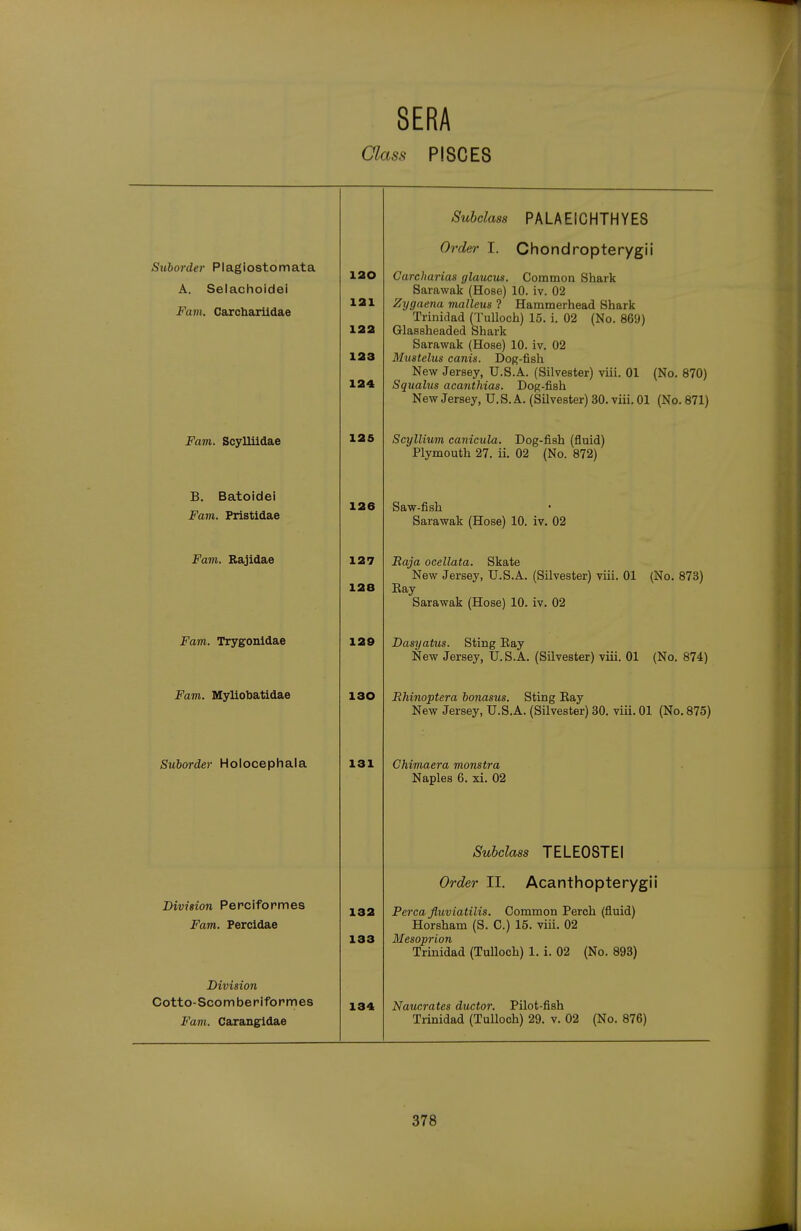 aass PISCES Subclass PALAEICHTHYE8 Sxiborder Plagiostomata A. Sel achoidei Fam. Carcbarildae 120 121 122 124 Order I. Chondropterygii Carcharias glaucus. Common Shark Sarawak /FTnfifi^ 10 iv 09 Zygaena malleus ? Hammerhead Shark Trinidad (Tulloch) 15. i. 02 (No. 869) Glassheaded Shark Sarawak (Hose) 10. iv. 02 Mustelus canis. Dog-fish New Jersey, U.S.A. (Silvester) viii. 01 (No. 870) Squalus acanthias. Dog-fish New Jersey, U.S.A. (Silvester) 30. viii. 01 (No. 871) Fam. Scylliidae Scyllium canicula. Dog-fish (fluid) Plymouth 27. ii. 02 (No. 872) B. Batoidei Favi. Pristidae 126 Saw-fish Sarawak (Hose) 10. iv. 02 Fam. Rajidae 127 128 Raja ocellata. Skate New Jersey, U.S.A. (Silvester) viii. 01 (No. 873) Eay Sarawak (Hose) 10. iv. 02 Fam. Trygonidae 129 Dasyatus. Sting Eay New Jersey, U.S.A. (Silvester) viii. 01 (No. 874) Fam. Myliobatidae 130 Rhinoptera bonasus. Sting Eay New Jersey, U.S.A. (Silvester) 30. viii. 01 (No. 875) Suborder Holocephala 131 Ghimaera monstra Naples 6. xi. 02 Subclass TELEOSTEI Division Perciformes Fam. Percidae 132 133 Order II. Acanthopterygii Perca Jluviatilis. Common Perch (fluid) Horsham (S. C.) 15. viii. 02 Mesoprion Trinidad (Tulloch) 1. i. 02 (No. 893) Division Cotto-Scomberiformes Fani. Carangldae 134 Naticratcs ductor. Pilot-fish Trinidad (Tulloch) 29. v. 02 (No. 876)