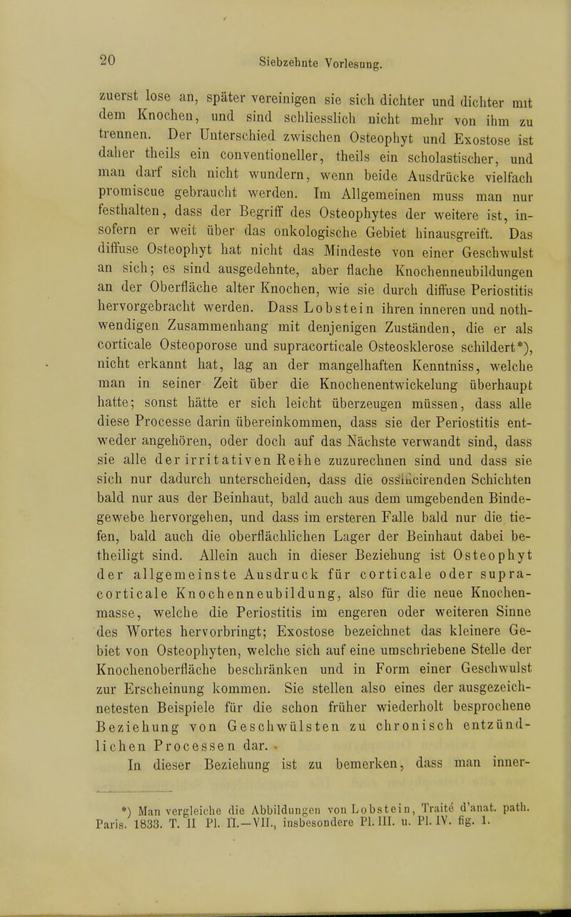 zuerst lose an, später vereinigen sie sich dichter und dichter mit dem Knochen, und sind schliesslich nicht mehr von ihm xu trennen. Der Unterschied zwischen Osteophyt und Exostose ist daher theils ein conventioneller, theils ein scholastischer, und man darf sich nicht wundern, wenn beide Ausdrücke vielfach promiscue gebraucht werden. Im Allgemeinen muss man nur festhalten, dass der Begriff des Osteophytes der weitere ist, in- sofern er weit über das onkologische Gebiet hinausgreift. Das diffuse Osteophyt hat nicht das Mindeste von einer Geschwulst an sich; es sind ausgedehnte, aber flache Knochenneubildungen an der Oberfläche alter Knochen, wie sie durch diffuse Periostitis hervorgebracht werden. Dass Lob stein ihren inneren und noth- wendigen Zusammenhang mit denjenigen Zuständen, die er als corticale Osteoporose und supracorticale Osteosklerose schildert*), nicht erkannt hat, lag an der mangelhaften Kenntniss, welche man in seiner Zeit über die Knochenentwickelung überhaupt hatte; sonst hätte er sich leicht überzeugen müssen, dass alle diese Processe darin übereinkommen, dass sie der Periostitis ent- weder angehören, oder doch auf das Nächste verwandt sind, dass sie alle der irritativen Reihe zuzurechnen sind und dass sie sich nur dadurch unterscheiden, dass die osöiiicirenden Schichten bald nur aus der Beinhaut, bald auch aus dem umgebenden Binde- gewebe hervorgehen, und dass im ersteren Falle bald nur die tie- fen, bald auch die oberflächlichen Lager der Beinhaut dabei be- theiligt sind. Allein auch in dieser Beziehung ist Osteophyt der allgemeinste Ausdruck für corticale oder supra- corticale Knochenneubildung, also für die neue Knochen- masse, welche die Periostitis im engeren oder weiteren Sinne des Wortes hervorbringt; Exostose bezeichnet das kleinere Ge- biet von Osteophyten, welche sich auf eine umschriebene Stelle der Knochenoberfläche beschränken und in Form einer Geschwulst zur Erscheinung kommen. Sie stellen also eines der ausgezeich- netesten Beispiele für die schon früher wiederholt besprochene Beziehung von Geschwülsten zu chronisch entzünd- lichen Processen dar. . In dieser Beziehung ist zu bemerken, dass man inner- *) Man vergleiche die Abbildungen von Lobstein, Traite d'anat. patli. Paris. 1833. T. II PI. IL-VII., insbesondere PI. III. u. PI. IV. fig. 1.
