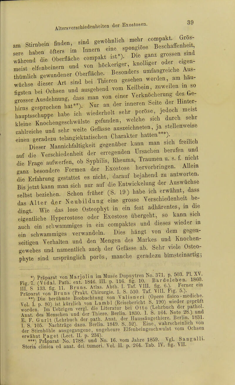 qq Altersverschiedenheiten der Exostosen. . • a Aar. ^ind eewölinlicli mehr compakt. Grös- ™ t: :^f ers im te eine spongiöse Beschaffenheit sere haben otters im au grossen sind wahrend die OherMche »»P;« ^^^^^^ *„aer eigen- „eist elfenheinem »^/»»^ ^'^Sltorumfangreiche Aus- MmUch ««-°^;-^°^t^ThieI glh n worden, am häu- tZ Äen^onr Keilhein, znweilen in so kleine Knochengeschwülste gefunden, welche sich durcH senr ^IrreicL :nd s^hr weite ^^^^^^ einen «eradezu telangiektatischen Charakter hatten ). D eser Mannichfaltigkeit gegenüber kann man s-h freilich auf die Verschiedenheit der erregenden Ursachen berufen und t F age aufwerfen, ob Syphilis, Rheuma, Traumen u. s. f riicM aL besondere Formen der Exostose hervorbringen. AI em dL Erfahrung gestattet es nicht, darauf bejahend zu antworten. Bisjelztkann^ ^an sich nur auf die Entwickelung der Auswüchse selbst beziehen. Schon früher (S. 19) habe ich erwähnt dass das Alter der Neubildung eine grosse Yerschiedenheit be- dingt Wie das lose Osteophyt in ein fest adhärentes, m die eigentliche Hyperostose oder Exostose übergeht, so kann sich auch ein schwammiges in ein compaktes und dieses wieder in ein schwammiges verwandeln. Dies hängt von dem gegen- seitigen Verhalten und den Mengen des Markes und Knochen- gewebes und namentlich auch der Gefässe ab. Sehr viele Osteo- phyte sind ursprünglich porös, manche geradezu bimsteinartig; *) Präparat von Marjolin im Musee Dupuytren No. 371. p. 503. ^1-XV- Fig 7 (V?dal. Path. ext. 1846. III. p. 116. fig. 10. Bardeleben. 1860 III S 133 fi- 11. Bruns. Atlas. Abth. I. Taf. VIII. fig. 6.). Ferner em Präparat von Bruns (Prakt. Chirurgie. I. S. 530. Taf VHI. Fig. 5.). Fraqat von ß^^^^i.^^^^^^^^^^^ von Valisneri (Opere fisico-mediche Vol 1. p. 80) ist kürzlich von Lambl (Reisebericht S. 190) wieder geprüft worden Im Uebrigen vergl. die Literatur bei Otto (Lehrbuch der pathol. Inar des tnstben und der Thiere. Berlin. 1830. I. S. 164. Note 28.) und E F Gurlt (Lehrbuch der path. Anat. der Ilaussäugethiere. Berlin. Iböl. Ts 'lOÖ. Nachträge dazu. Berlin. 1849. S..52). Eine, wahrscheinlich von der Stirnhöhle ausgegangene, ungeheure Elfenbeiugeschvvulst vom Ochsen erwähnt Paget (Lect. IL p. 234). ***) Präparat No. 1788. und No. 16. vom Jahre 1859. VgL Sangalli.
