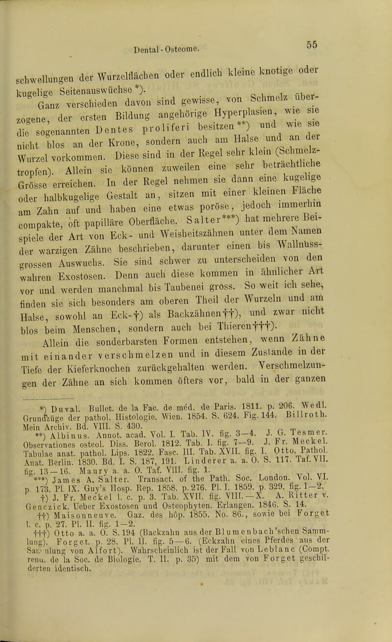 Dental - Osteome. «^^ Schwellungen der Wurzelüäcben oder endlich kleine knotige oder kugelige Seitenauswüchse*). Ganz verschieden davon sind gewisse, von Schmelz über- zogene, der ersten Bildung angehörige Hyperplasien wie sie r o enanntenDentes proliferi besitzen-) -d -e si nicht blos an der Krone, sondern auch am Halse und an der Wurzel vorkommen. Diese sind in der Regel sehr klein (Schmek- tropfen). Allein sie können zuweilen eine sehr beträchtliche Grösse erreichen. In der Regel nehmen sie dann eine kugelige oder halbkugelige Gestalt an, sitzen mit einer kleinen Flache am Zahn auf und haben eine etwas poröse, jedoch immerhm compakte, oft papilläre Oberfläche. Salter-*) hat mehrere Bei^ spiele der Art von Eck- und Weisheitszähnen unter dem Namen der warzigen Zähne beschrieben, darunter einen bis Wallniiss- n-rossen Auswuchs. Sie sind schwer zu unterscheiden von den wahren Exostosen. Denn auch diese kommen in ähnlicher Art vor und werden manchmal bis Taubenei gross. So weit ich sehe, finden sie sich besonders am oberen Theil der Wurzeln und am Halse, sowohl an Eck-f) als Backzähnenft), und zwar nicht blos beim Menschen, sondern auch bei Thierenfft). Allein die sonderbarsten Formen entstehen, wenn Zähne mit einander verschmelzen und in diesem Zustande in der Tiefe der Kieferknochen zurückgehalten werden. Verschmelzun- gen der Zähne an sich kommen öfters vor, bald in der ganzen *) Duval. Bullet, de la Fac. de med. de Paris. 1811. p. 206. Wedl. Grund'züge der pathol. Histologie. Wien. 1854. S. 624. Fig. 144. Billroth. Mein Archiv. Bd. VIII. S. 430. t n t **) Albinus. Annot. acad. Vol. I. Tab. IV. fig. 3-4. J. G. Tesmer. Observationes osteol. Diss. Berol. 1812. Tab. I. fig. 7-9. J. Fr Mecke . Tabulae anat. pathol. Lips. 1822. Fase. III. Tab. XVII. fig. I. Otto. Pathol. Anat. Berlin. 1830. Bd. L S. 187, 191. Linderer a. a. 0. S. 117. Tat.Vll. fig. 13-16. Maury a. a. 0. Taf. VIII. fig. 1. . , ..r i -.tt ***) James A. Salt er. Transact. of the Path. Soc. London. Vol. VL p 173. PI. IX. Guy's IIosp. Rep. 1858. p.276. PI. I. 1859. p. 329. fig. 1—2. t) J. Fr. Meckel 1. c. p. 3. Tab. XVII. fig. VIII.—X. A. Ritter v. Genczick. Ueber Exostosen und Osteophyten. Erlangen. 1846. S_. 14. tt) Maisouneuve. Gaz. des höp. 1855. No. 86., sowie bei Forget 1. c. p. 27. PI. IL fig. 1-2. , , ^ ttt) Otto a. a. 0. S.194 (Backzahn aus der Bluraenbach'schen Samm- lung). Forget. p. 28. PI. II. fig. 5 — 6. (Eckzahn eines Pferdes ans der Sau' nlung von Alfort). Wahrscheinlich ist der Fall von Leblanc (Compt. renu. de la Soc. de Biologie. T. II. p. 35) mit dem von Forget geschil- derten identisch.