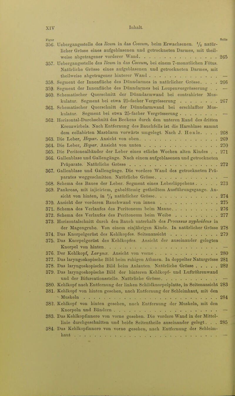 Figur Seite 35G. Uebergangsstello des Ileum iu das Coecum, beim Erwachsenen, '/j natür- licher Grösse eines aufgeblasenen und getrockneten Darmes, mit thcil- weise abgetragener vorderer Wand 265 357. Uebergangsstelle des Ileum in das Coecum, bei einem 7-mouatlichen Fötus. Natürliche Grösse eines aufgeblasenen und getrockneten Darmes, mit theilweise abgetragener hinterer Wand — 358. Segment der Innenfläche des Dünndarmes in natürlicher Grösse. . . , 206 359. Segment der Innenfläche des Dünndarmes bei Loupenvergrösserung . . — 360. Schematischer Querschnitt der Dünndarmwand bei contrahirter Mus- kulatur. Segment bei etwa 25-facher Vergrösserung 207 361. Schematischer Querschnitt der Dünndarmwand bei erschlaffter Mus- kulatur. Segment bei etwa 25-facher Vergrösserung — 362. Horizoutal-Durchsclmitt dos Beckens durch den unteren Rand des dritten Kreuzwirbels. Nach Entfernung des Bauchfells ist die Harnblase sammt dem collabirten Mastdarm vorwärts umgelegt. Nach J. Heule. . . . 208 363. Die Leber, Hepar. Ansicht von oben 269 364. Die Leber, Hepar. Ansicht von unten 270 365. Die Peritonealbänder der Leber eines etliche Wochen alten Kindes . . 271 366. Gallenblase und Gallengänge. Nach einem aufgeblasenen und getrockneten Pi-äparate. Natürliche Grösse 272 367. Gallenblase und Gallengänge. Die vordere Wand des getrockneten Prä- parates weggeschnitten. Natürliche Grösse — 368. Schema des Baues der Leber. Segment eines Leberläppchens 273 369. Pankreas, mit iujicirtem, gabelförmig getbeiltem Ausführungsgange. An- sicht von hinten, in '/g natürlicher Grösse 274 370. Ansicht der vorderen Bauchwand von innen 275 371. Schema des Verlaufes des Peritoneum beim Manne 276 372. Schema des Verlaufes des Peritoneum beim Weibe 277 373. Horizontalschnitt durch den Bauch unterhalb des Processus xyphoidetis in der Magengrube. Von einem einjährigen Kinde. In natürlicher Grösse 278 374. Das Knorpelgerüst des Kehlkopfes. Seitenansicht 279 375. Das Knorpelgerüst des Kehlkopfes. Ansicht der auseinander gelegten Knorpel von hinten — 376. Der Kehlkopf, Larynx. Ansicht von vorue 280 377. Das laryngoskopische Bild beim ruhigen Athmen. In doppelter Naturgrösse 281 378. Das laryngoskopische Bild beim Anlauten. Natürliche Grösse 282 379. Das laryngoskopische Bild der hinteren Kehlkopf- und Luftröhrenwand und der Bifurcationsstelle. Natürliche Grösse . — 380. Kehlkopf nach Entfernung der linken Schildknorpelplatte, in Seitenansicht 283 381. Kehlkopf von hinten gesehen, nach Entfernung der Schleimhaut, mit den Muskeln 284 382. Kehlkopf von hinten gesehen, nach Entfernung der Muskeln, mit den Knorpeln und Bändern — 383. Das Kehlkopfinnere von vorne gesehen. Die vordere Wand in der Mittel- linie durchgeschnitten und beide Seitontheile auseinander gelegt. . . 285 384. Das Kehlkopfinnere von voine gesehen, nach Entfernung der Schleim- haut I