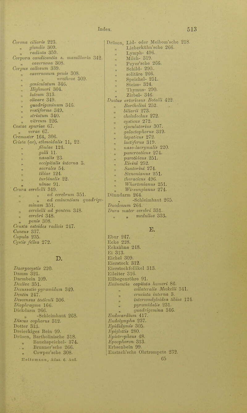 Corona ciliaris 223. gla7ulis 309. „ railiata 359. Corpora candicanlia s. mainillaria 342. „ cavernosa 308. Corpus callosum 339. „ cavernosum penis 308. „ „ 9irethrae 309. „ geniculakivi 346. ,, Highmori 304. „ luteum 313. ., olivare 349. „ quadrigeminum 346. „ resH/orme 349. „ striatum 340. „ vitreum 226. Coslae spuriae 67. „ vej'ae 67. Creinaster 164, 306. Crista (nc), ethmoidalis 11, 22. fihulae 124. ., (/aZ^i 11. „ nasalis 23. „ occipitalis interna 3. „ sacrales 54. ,, ^iJjae 124. „ turhinalis 22. „ ulnae 91. Crura cerehclli 349. ., „ acZ cerehrum 351. ., „ acZ cminenliam quadrige- minam 351. ,, cerebelli ad pontem 318. „ certbri 348. „ jpem's 308. Criista ostoides radicis 247. Cuneus 337. Cupula 235. Q/s/is /eZZea 272. D. Dacryocyslis 220. Damm 321. Darmbein 109. Declive 351. Dccussatio ivjramidum 349. 7J£7!^m 247. Descensus tesliculi 306. Diaphragma 166. Dickdarm 266. „ -Sclilcimliaut 268. IJiscus oophorus 312. Dotter 313. Dreieckiges Bein 99. Drii.sen, Bartholinisclie 318. „ Biiuclispeichcl- 374. . „ Brunncr'.sclie 266. „ Cowper'sche 308. Iloitzmann, Atlas. 6. Aufl. Drüsen, Lid- oder Meibom'sclie 218. „ Lieberkiilm'sclie 266. Lymph- 496. Milch- 319. „ Peyer'sche 266. Scliild- 290.. „ solitäre 266. Speichel- 251. Steiss- 324. Tliymus- 290. „ Zirbel- 346. Ductus arteriosus BotalU 422. „ Bartlinlini 252. „ hiliarii 273. ,, choledocJms 272. „ cysticus 272. „ ejaculatorius 307. „ galactapliorus 319. „ hepaticus 272. „ lactiferus 319. „ naso-lacrymalis 220. „ pancreaticus 274. „ parotideus 251. „ Ritini 252. „ Santorini 274. „ Slenonianus 251. „ Ihnracicus 496. „ Whavtonianus 251. „ . Wirsungianus 274. Dünndarm 264. „ • -Schleimhaut 265. Duodenum 264. Dura mater cerebri 331. „ „ medullae 333. E. Ebur 247. Ecke 228. Eckzähne 248. Ei 313. Eichel 309. Eierstock 312. Eierstockfollikel 313. Eileiter 316. Ellbogenröhre 91. Eminentia capitata Jiumeri 86. „ collateralis Meckelii 341. „ cruciata interna 3. „ intercondyloidea tibiae 124. „ pyramidalis 231. „ quadrigeviina 346. Endocardium 417. Endolympha 237. Epididyviis 305. Kpirjlottis 280. E2)iisirnp7ieus 48. Epoophoron 313. Erbsenbein 99. Eustach'scho Ohrtrompete 232. 65