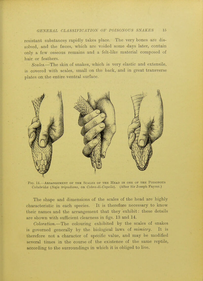 resistant substances rapidly takes place. The very bones are dis- solved, and the faeces, which are voided some days later, contain only a few osseous remains and a felt-like material composed of hair or feathers. Scales.—The skin of snakes, which is very elastic and extensile, is covered with scales, small on the back, and in great transverse plates on the entire ventral surface. Pig. 14.—Abeangement of the Scales op the Head in one op the Poisonous Colubridcs {Naja tripudians, or Cobra-di-Capello). (After Sir Joseph Payrer.) The shape and dimensions of the scales of the head are highly characteristic in each species. It is therefore necessary to know their names and the arrangement that they exhibit: these details are shown with sufficient clearness in figs. 13 and 14. Coloration.—The colouring exhibited by the scales of snakes is governed generally by the biological laws of mimicry. It is therefore not a character of specific value, and may be modified several times in the course of the existence of the same reptile, according to the surroundings in which it is obliged to live.