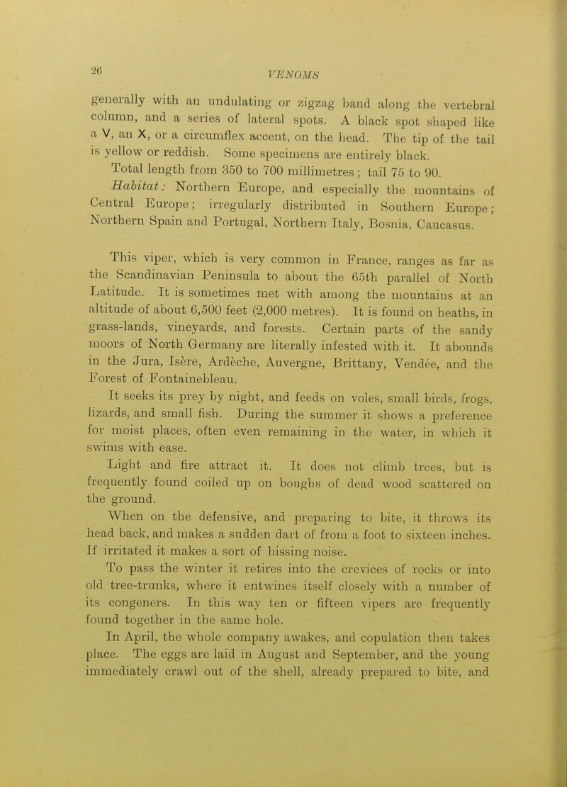 generally with an undulating or zigzag band along the vertebral column, and a series of lateral spots. A black spot shaped like a V, an X, or a circumflex accent, on the head. The tip of the tail is yellow or reddish. Some specimens are entirely black. Total length from 350 to 700 millimetres; tail 75 to 90. Habitat: Northern Europe, and especially the mountains of Central Europe; irregularly distributed in Southern Europe; Northern Spain and Portugal, Northern Italy, Bosnia, Caucasus. This viper, which is very common in France, ranges as far as the Scandinavian Peninsula to about the 65th parallel of North Latitude. It is sometimes met with among the mountains at &a altitude of about 6,500 feet (2,000 metres). It is found on heaths, in grass-lands, vineyards, and forests. Certain parts of the sandy moors of North Germany are literally infested with it. It abounds in the Jura, Isere, Ardeche, Auvergne, Brittany, Vendee, and the Forest of Fontainebleau. It seeks its prey by night, and feeds on voles, small birds, frogs, lizards, and small fish. During the summer it shows a preference for moist places, often even remaining in the water, in which it swims with ease. Light and fire attract it. It does not climb trees, but is frequently found coiled up on boughs of dead wood scattered on the ground. When on the defensive, and preparing to bite, it throws its head back, and makes a sudden dart of from a foot to sixteen inches. If irritated it makes a sort of hissing noise. To pass the winter it retires into the crevices of rocks or into old tree-trunks, where it entwines itself closely with a number of its congeners. In this way ten or fifteen vipers are frequently found together in the same hole. In April, the whole company awakes, and copulation then takes place. The eggs are laid in August and September, and the young immediately crawl out of the shell, already prepared to bite, and