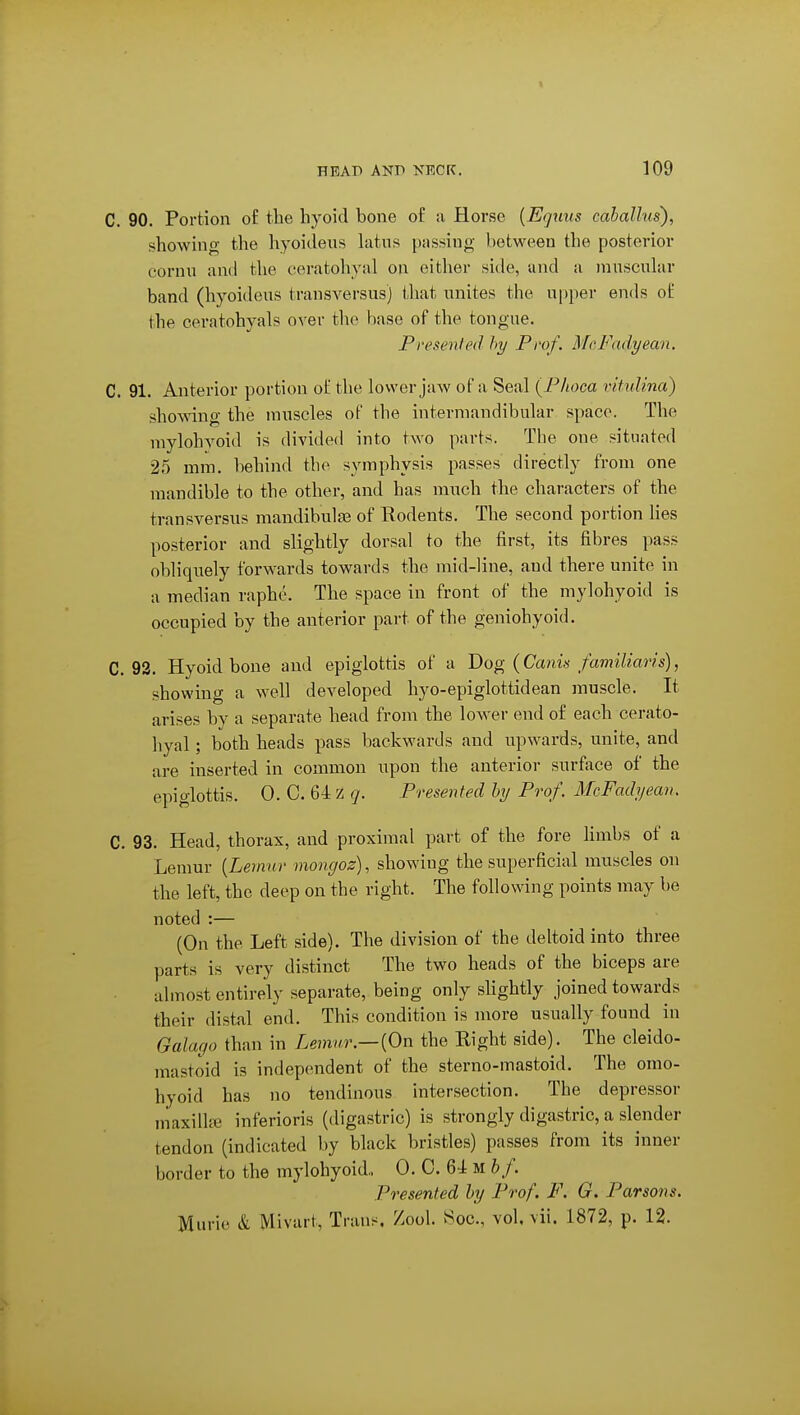 C. 90. Portion of the liyoid bone o£ a Horse [Eguus caballns), showino- the hyoideus hitns passing between the posterior cornu and the ceratohyal on eitlier side, and a mnscuhir band (hyoideus transversus) that unites the upper ends of the ceratohyals over the base of the tongue. Presented hy Prof. MrFadyean, C. 91. Anterior portion of the lower jaw of a Seal {Plioca vitidina) showing the muscles of the intermandibular space. The mylohyoid is divided into two parts. The one situated 25 mm. behind the symphysis passes directly from one mandible to the other, and has much the characters of the transversus mandibulre of Rodents. The second portion lies posterior and slightly dorsal to the first, its fibres pass obliquely forwards towards the mid-line, and there unite in a median raphe. The space in front of the mylohyoid is occupied by the anterior part of the geniohyoid. C. 92. Hyoidbone and epiglottis of a T>o^ (Canu familians), showing a well developed hyo-epiglottidean muscle. It arises by a separate head from the lower end of each cerato- hyal ; both heads pass backwards and upwards, unite, and are inserted in common upon the anterior surface of the epiglottis. 0. C. 64 z q. Presented by Prof. McFadyean. C. 93. Head, thorax, and proximal part of the fore limbs of a Lemur [Lemur mongoz), showing the superficial muscles on the left, the deep on the right. The following points may be noted :— (On the Left side). The division of the deltoid into three parts is very distinct The two heads of the biceps are almost entirely separate, being only slightly joined towards their distal end. This condition is more usually found in Galago than in Leinur.—{On the Right side). The cleido- mastoid is independent of the sterno-mastoid. The omo- hyoid has no tendinous intersection. The depressor maxilhe inferioris (digastric) is strongly digastric, a slender tendon (indicated by black bristles) passes from its inner border to the mylohyoid.. 0. C. 64 m bf. Presented by Prof. F. G. Parsons. Murie & Mivart, Trans, /ool. Soc, vol. vii. 1872, p. 12.