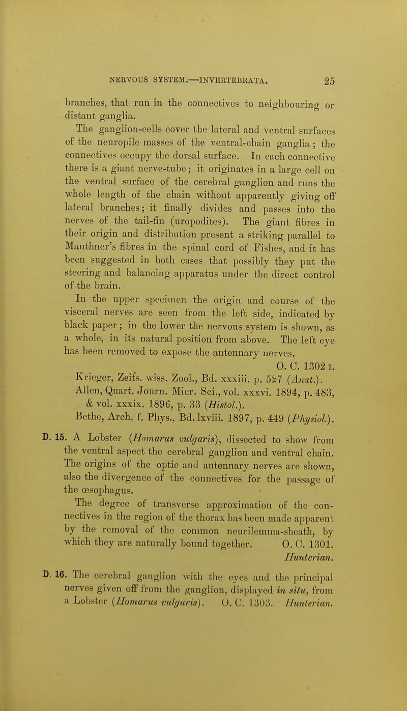 branches, that run in the connectives to neighbouring or distant ganglia. The ganglion-cells cover the lateral and ventral surfaces of the neuropile masses of the ventral-chain ganglia ; the connectives occupy the dorsal surface. In each connective there is a giant nerve-tube; it originates in a large cell on the ventral surface of the cerebral ganglion and runs the whole length of the chain without apparently giving off lateral branches; it finally divides and passes into the nerves of the tail-fin (uropodites). The giant fibres in their origin and distribution present a striking parallel to Mauthner's fibres in the spinal cord of Fishes, and it has been suggested in both cases that possibly they put the steering and balancing apparatus under the direct control of the brain. In the upper specimen the origin and course of the visceral nerves are seen from the left side, indicated by black paper; in the lower the nervous system is shown, as a whole, in its natural position from above. The left eye has been removed to expose the antennary nerves. 0. C. 1302 I. Krieger, Zeits. wiss. Zool., Bd. xxxiii. p. 55i7 (Anat.). Allen, Quart. Journ. Micr. Sci., vol. xxxvi. 1894, p. 483, & vol. xxxix. 1896, p. 33 {HistoL). Bethe, Arch. f. Phys., Bd.lxviii. 1897, p. 449 [Pliysiol). D. 16. A Lobster {Homarus vulgaris), dissected to show from the ventral aspect the cerebral ganglion and ventral chain. The origins of the optic and antennary nerves are shown, also the divergence of the connectives for the passage of the oesophagus. The degree of transverse approximation of the con- nectives in the region of the thorax has been made apparent by the removal of the common neurilemma-sheath, by which they are naturally bound together. 0. 0. 1301. ITufUerian, D. 16. The cerebral gaugh'on with the eyes and tlu) principal nerves given off from the ganglion, displayed in situ, from II Lohatav {Homarus vulgaris). O. C. 13U3. Hunterian.