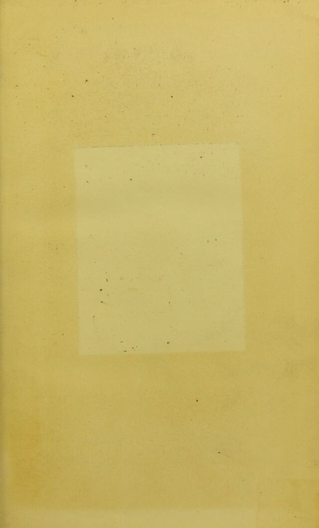 digitised image 3