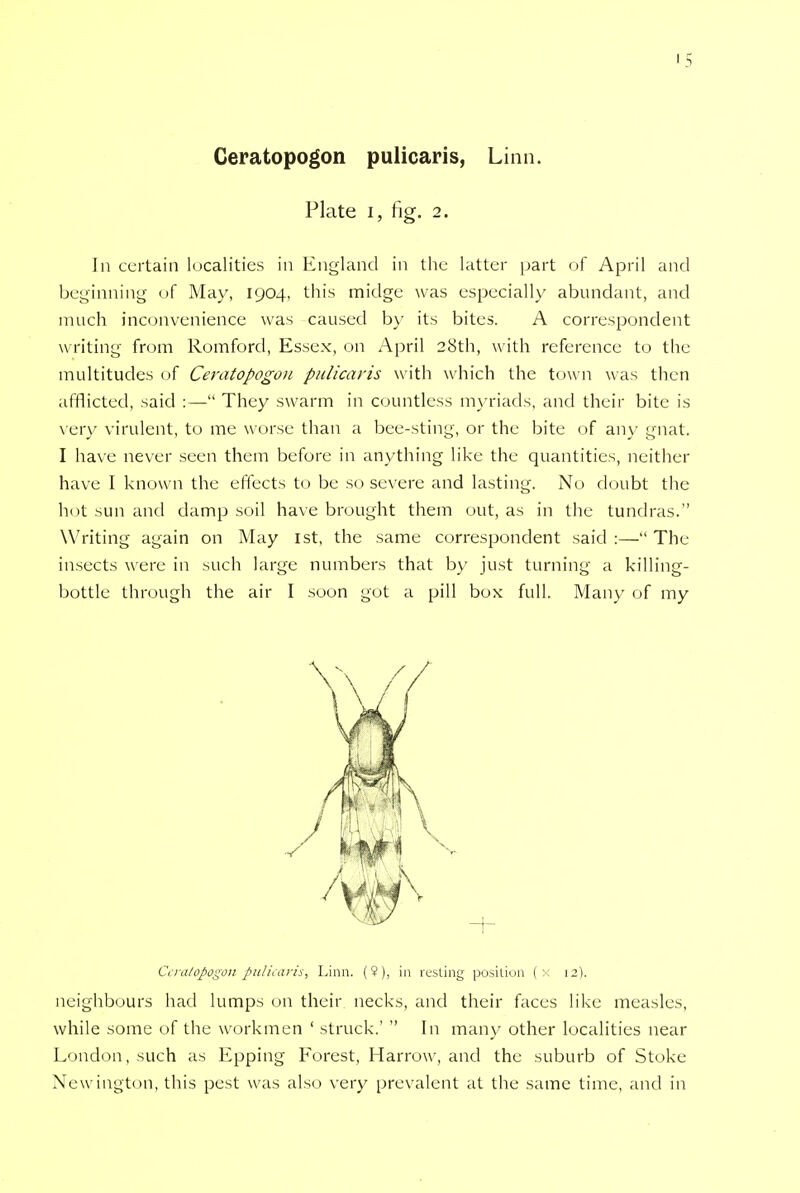 Geratopogon pulicaris, Linn. Plate i, fig. 2. In certain localities in England in the latter part of April and beginning of May, 1904, this midge was especially abundant, and much inconvenience was caused by its bites. A correspondent writing from Romford, Essex, on April 28th, with reference to the multitudes of Ceratopogon pulicaris with which the town was then afflicted, said :— They swarm in countless myriads, and their bite is very virulent, to me worse than a bee-sting, or the bite of any gnat. I have never seen them before in anything like the quantities, neither have I known the effects to be so severe and lasting. No doubt the hot sun and damp soil have brought them out, as in the tundras. Writing again on May 1st, the same correspondent said:—The insects were in such large numbers that by just turning a killing- bottle through the air I soon got a pill box full. Many of my neighbours had lumps on their necks, and their faces like measles, while some of the workmen ' struck.'  In many other localities near London, such as Epping Forest, Harrow, and the suburb of Stoke Newington, this pest was also very prevalent at the same time, and in Ceratopogon pulicaris, Linn. (9), in resting position (x 12).