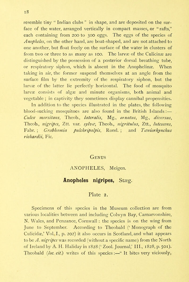 resemble tiny  Indian clubs  in shape, and are deposited on the sur- face of the water, arranged vertically in compact masses, or  rafts, each containing from 200 to 300 eggs. The eggs of the species of AnopJieles, on the other hand, are boat-shaped, and are not attached to one another, but float freely on the surface of the water in clusters of from two or three to as many as 100. The larvae of the Culicinae are distinguished by the possession of a posterior dorsal breathing tube, or respiratory siphon, which is absent in the Anophelinae. When taking in air, the former suspend themselves at an angle from the surface film by the extremity of the respiratory siphon, but the larvae of the latter lie perfectly horizontal. The food of mosquito larvae consists of algae and minute organisms, both animal and vegetable ; in captivity they sometimes display cannibal propensities. In addition to the species illustrated in the plates, the following blood-sucking mosquitoes are also found in the British Islands :— Culex morsitans, Theob., lateralis, Mg., ornatus, Mg., diversus, Theob., nigripes, Ztt. var. sylvce, Theob., nigritulus, Ztt, lutescens, Fabr. ; Grabhamia pidchripalpis, Rond. ; and Tceniorhynchns richardii, Fic. Genus ANOPHELES, Meigen. Anopheles nigripes, Staeg. Plate 2. Specimens of this species in the Museum collection are from various localities between and including Colwyn Bay, Carnarvonshire, N. Wales, and Penzance, Cornwall : the species is on the wing from June to September. According to Theobald (' Monograph of the Culicidae,' Vol. I., p. 202) it also occurs in Scotland, and what appears to be A. nigripes was recorded (without a specific name) from the North of Ireland by A. H. Haliday in 1828 (' Zool. Journal,' III., 1828, p. 501). Theobald (Joe. cit.) writes of this species :— It bites very viciously,