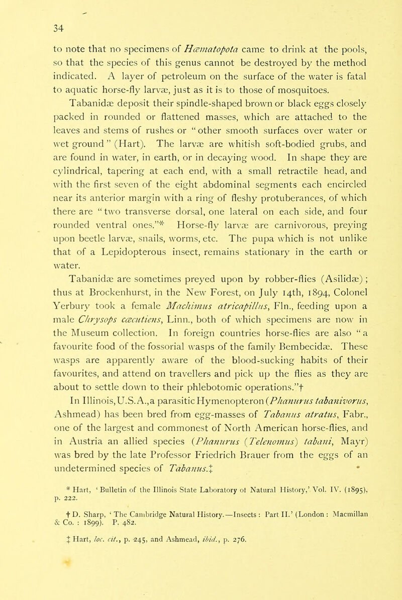 to note that no specimens of Hcematopota came to drink at the pools, so that the species of this genus cannot be destroyed by the method indicated. A layer of petroleum on the surface of the water is fatal to aquatic horse-fly larvae, just as it is to those of mosquitoes. Tabanidse deposit their spindle-shaped brown or black eggs closely packed in rounded or flattened masses, which are attached to the leaves and stems of rushes or  other smooth surfaces over water or wet ground  (Hart). The larvae are whitish soft-bodied grubs, and are found in water, in earth, or in decaying wood. In shape they are cylindrical, tapering at each end, with a small retractile head, and with the first seven of the eight abdominal segments each encircled near its anterior margin with a ring of fleshy protuberances, of which there are  two transverse dorsal, one lateral on each side, and four rounded ventral ones.* Horse-fly larvae are carnivorous, preying upon beetle larvae, snails, worms, etc. The pupa which is not unlike that of a Lepidopterous insect, remains stationary in the earth or water. Tabanidae are sometimes preyed upon by robber-flies (Asilidae) ; thus at Brockenhurst, in the New Forest, on July 14th, 1894, Colonel Yerbury took a female Machimns atricapillits, Fin., feeding upon a male Ckrysops ccecutiens, Linn., both of which specimens are now in the Museum collection. In foreign countries horse-flies are also a favourite food of the fossorial wasps of the family Bembecidae. These wasps are apparently aware of the blood-sucking habits of their favourites, and attend on travellers and pick up the flies as they are about to settle down to their phlebotomic operations.f In Illinois,U.S. A.,a parasitic Hymenopteron (P/ianurus tabanivorus, Ashmead) has been bred from egg-masses of Tabanus atratus, Fabr., one of the largest and commonest of North American horse-flies, and in Austria an allied species {Phajiurus {Telenoimis) iabaui, Mayr) was bred by the late Professor Friedrich Brauer from the eggs of an undetermined species of Tabanus.% * Hart, 'Bulletin of the Illinois State Laboratory ot Natural History,' Vol. IV. (1895), p. 222. fD. Sharp, ' The Cambridge Natural History.—Insects: Part II.'(London : Macmillan & Co. : 1899). P. 482. X Hart, loc. cit., p. 245, and Ashmead, ibid., p. 276.