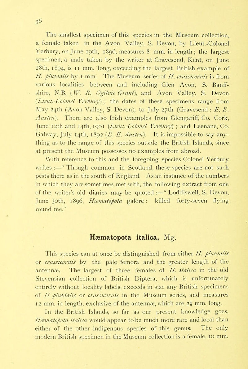 The smallest specimen of this species in the Museum collection, a female taken in the Avon Valley, S. Devon, by Lieut.-Colonel Yerbury, on June 19th, 1896, measures 8 mm. in length; the largest specimen, a male taken by the writer at Gravesend, Kent, on June 28th, 1894, is 11 mm. long, exceeding the largest British example of H. pluvialis by 1 mm. The Museum series of H. crassicornis is from various localities between and including Glen Avon, S. Banff- shire, N.B. (W. R. Ogilvie Grant), and Avon Valley, S. Devon (Lieut.-Colonel Yerbury) ; the dates of these specimens range from May 24th (Avon Valley, S. Devon), to July 27th (Gravesend : E. E. Austen). There are also Irish examples from Glengariff, Co. Cork, June 12th and 14th, 1901 {Lieut.-Colonel Yerbury) ; and Leenane, Co. Galway, July 14th, 1892 (E. E. Austen). It is impossible to say any- thing as to the range of this species outside the British Islands, since at present the Museum possesses no examples from abroad. With reference to this and the foregoing species Colonel Yerbury writes :— Though common in Scotland, these species are not such pests there as in the south of England. As an instance of the numbers in which they are sometimes met with, the following extract from one of the writer's old diaries may be quoted :— Loddiswell, S. Devon, June 30th, 1896, Hcematopota galore: killed forty-seven flying round me. Haematopota italica, Mg. This species can at once be distinguished from either H. pluvialis or crassicornis by the pale femora and the greater length of the antenna?. The largest of three females of H. italica in the old Stevensian collection of British Diptera, which is unfortunately entirely without locality labels, exceeds in size any British specimens of H. pluvialis or crassicornis in the Museum series, and measures 12 mm. in length, exclusive of the antenna;, which are 2\ mm. long. In the British Islands, so far as our present knowledge goes, Haematopota italica would appear to be much more rare and local than either of the other indigenous species of this genus. The only modern British specimen in the Museum collection is a female, 10 mm.