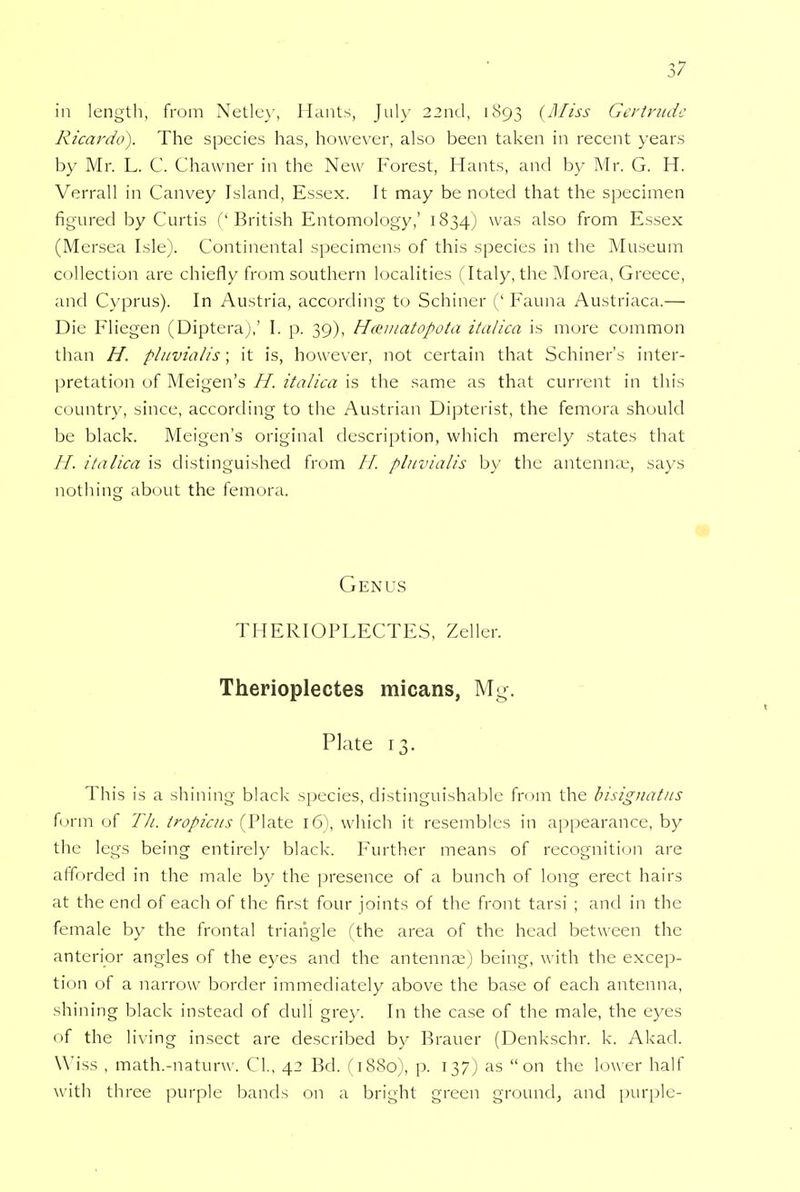 in length, from Netley, Hants, July 22nd, 1893 {Miss Gertrude Ricardo). The species has, however, also been taken in recent years by Mr. L. C. Chawner in the New Forest, Hants, and by Mr. G. H. Verrall in Canvey Island, Essex. It may be noted that the specimen figured by Curtis ('British Entomology,' 1834) was also from Essex (Mersea Isle). Continental specimens of this species in the Museum collection are chiefly from southern localities (Italy, the Morea, Greece, and Cyprus). In Austria, according to Schiner (' Fauna Austriaca.— Die Fliegen (Diptera),' I. p. 39), Hmmatopota italica is more common than H. pluvialis; it is, however, not certain that Schiner's inter- pretation of Meigen's H. italica is the same as that current in this country, since, according to the Austrian Dipterist, the femora should be black. Meigen's original description, which merely states that H. italica is distinguished from // pluvialis by the antenna,-, says nothing about the femora. Genus THERIGTLECTES, Zeller. Therioplectes micans, Mg-. Plate 13. This is a shining black species, distinguishable from the bisignatus form of Th. tropicus (Plate 16), which it resembles in appearance, by the legs being entirely black. Further means of recognition are afforded in the male by the presence of a bunch of long erect hairs at the end of each of the first four joints of the front tarsi ; and in the female by the frontal triangle (the area of the head between the anterior angles of the eyes and the antenna;) being, with the excep- tion of a narrow border immediately above the base of each antenna, shining black instead of dull grey. In the case of the male, the eyes of the living insect are described by Brauer (Denkschr. k. Akad. Wiss , math.-naturw. CI., 42 Bd. (1880), p. 137) as on the lower half with three purple bands on a bright green ground, and purple-