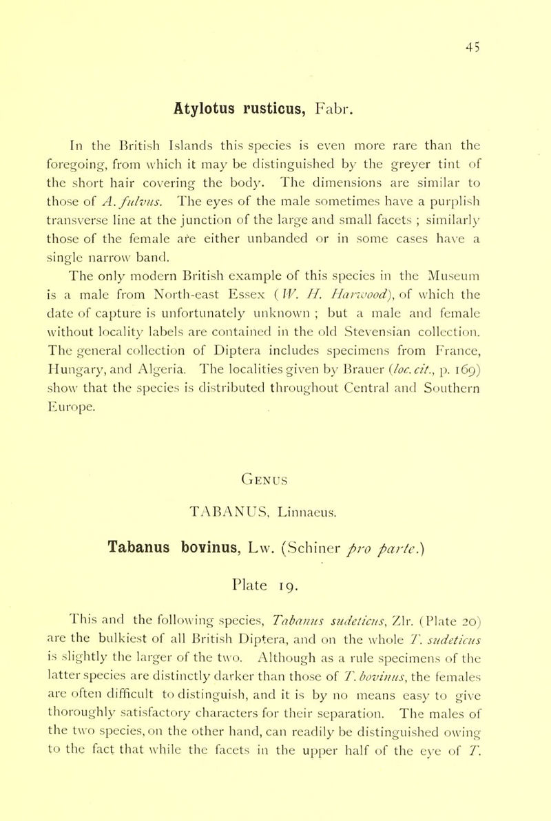 Atylotus rusticus, Fabr. In the British Islands this species is even more rare than the foregoing, from which it may be distinguished by the greyer tint of the short hair covering the body. The dimensions are similar to those of A.fulvus. The eyes of the male sometimes have a purplish transverse line at the junction of the large and small facets ; similarly those of the female are either unbanded or in some cases have a single narrow band. The only modern British example of this species in the Museum is a male from North-east Essex ( W. H. Harwood), of which the date of capture is unfortunately unknown ; but a male and female without locality labels are contained in the old Stevensian collection. The general collection of Diptera includes specimens from France, Hungary, and Algeria. The localities given by Brauer {loc.cit., p. 169) show that the species is distributed throughout Central and Southern Europe. Genus TABANUS, Linnaeus. Tabanus bovinus, Lw. (Schiner pro parte) Plate 19. This and the following species, Tabanus sudeticus, Zlr. (Plate 20) are the bulkiest of all British Diptera, and on the whole T. sudeticus is slightly the larger of the two. Although as a rule specimens of the latter species are distinctly darker than those of T. bovinus, the females are often difficult to distinguish, and it is by no means easy to give thoroughly satisfactory characters for their separation. The males of the two species, on the other hand, can readily be distinguished owing to the fact that while the facets in the upper half of the eye of T.