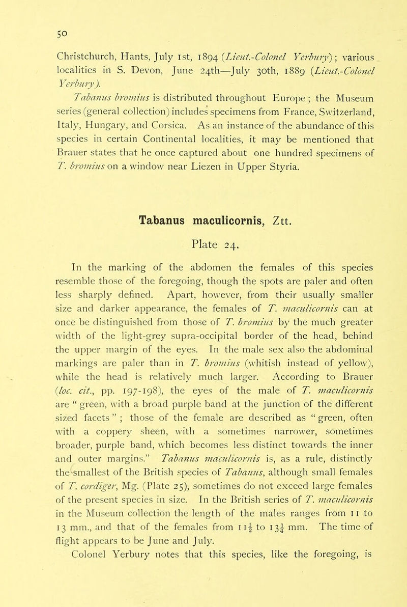 Christchurch, Hants, July ist, 1894 (Lieut-Colonel Yerbury); various localities in S. Devon, June 24th—July 30th, 1889 {Lieut-Colonel Yerbury ). Tabanus bromius is distributed throughout Europe ; the Museum series (general collection) includes specimens from France, Switzerland, Italy, Hungary, and Corsica. As an instance of the abundance of this species in certain Continental localities, it may be mentioned that Brauer states that he once captured about one hundred specimens of T. bromius on a window near Liezen in Upper Styria. Tabanus maculicornis, Ztt. Plate 24. In the marking of the abdomen the females of this species resemble those of the foregoing, though the spots are paler and often less sharply defined. Apart, however, from their usually smaller size and darker appearance, the females of T. maculicornis can at once be distinguished from those of T. bromius by the much greater width of the light-grey supra-occipital border of the head, behind the upper margin of the eyes. In the male sex also the abdominal markings are paler than in T. bromius (whitish instead of yellow), while the head is relatively much larger. According to Brauer (loc. cit., pp. 197-198), the eyes of the male of T. maculicornis are  green, with a broad purple band at the junction of the different sized facets  ; those of the female are described as  green, often with a coppery sheen, with a sometimes narrower, sometimes broader, purple band, which becomes less distinct towards the inner and outer margins. Tabanus maculicornis is, as a rule, distinctly the^smallest of the British species of Tabanus, although small females of T. cordiger, Mg. (Plate 25), sometimes do not exceed large females of the present species in size. In the British series of T. maculicornis in the Museum collection the length of the males ranges from 11 to 13 mm., and that of the females from ii| to 13^ mm. The time of flight appears to be June and July. Colonel Yerbury notes that this species, like the foregoing, is