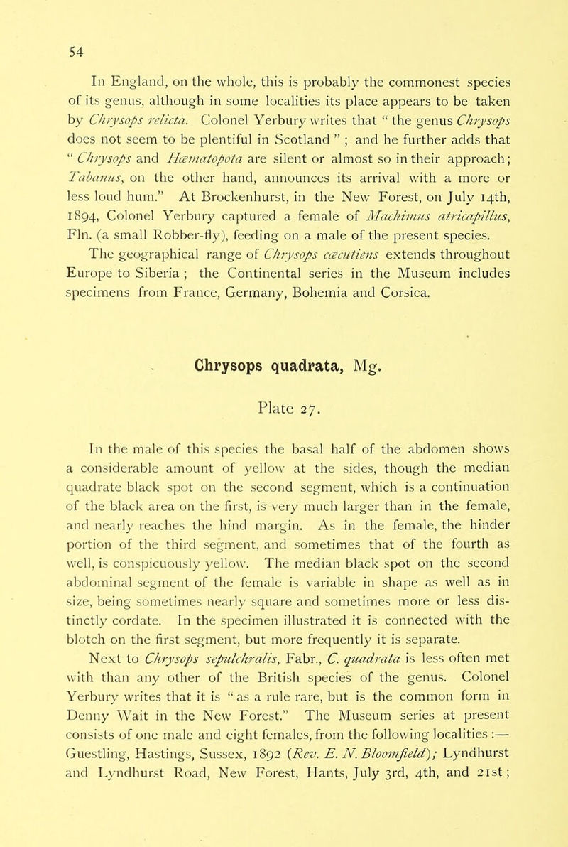 In England, on the whole, this is probably the commonest species of its genus, although in some localities its place appears to be taken by Chrysops relicta. Colonel Yerbury writes that  the genus Chrysops does not seem to be plentiful in Scotland  ; and he further adds that  Chrysops and Hcematdpota are silent or almost so in their approach; Tabanus, on the other hand, announces its arrival with a more or less loud hum. At Brockenhurst, in the New Forest, on July 14th, 1894, Colonel Yerbury captured a female of Machimus atricapillus, Fin. (a small Robber-fly), feeding on a male of the present species. The geographical range of Chrysops ccecutiens extends throughout Europe to Siberia ; the Continental series in the Museum includes specimens from France, Germany, Bohemia and Corsica. Chrysops quadrata, Mg. Plate 27. In the male of this species the basal half of the abdomen shows a considerable amount of yellow at the sides, though the median quadrate black spot on the second segment, which is a continuation of the black area on the first, is very much larger than in the female, and nearly reaches the hind margin. As in the female, the hinder portion of the third segment, and sometimes that of the fourth as well, is conspicuously yellow. The median black spot on the second abdominal segment of the female is variable in shape as well as in size, being sometimes nearly square and sometimes more or less dis- tinctly cordate. In the specimen illustrated it is connected with the blotch on the first segment, but more frequently it is separate. Next to Chrysops sepulchralis, Fabr., C. quadrata is less often met with than any other of the British species of the genus. Colonel Yerbury writes that it is  as a rule rare, but is the common form in Denny Wait in the New Forest. The Museum series at present consists of one male and eight females, from the following localities :— Guestling, Hastings, Sussex, 1892 {Rev. E. N. B loo infield); Lyndhurst and Lyndhurst Road, New Forest, Hants, July 3rd, 4th, and 21st;