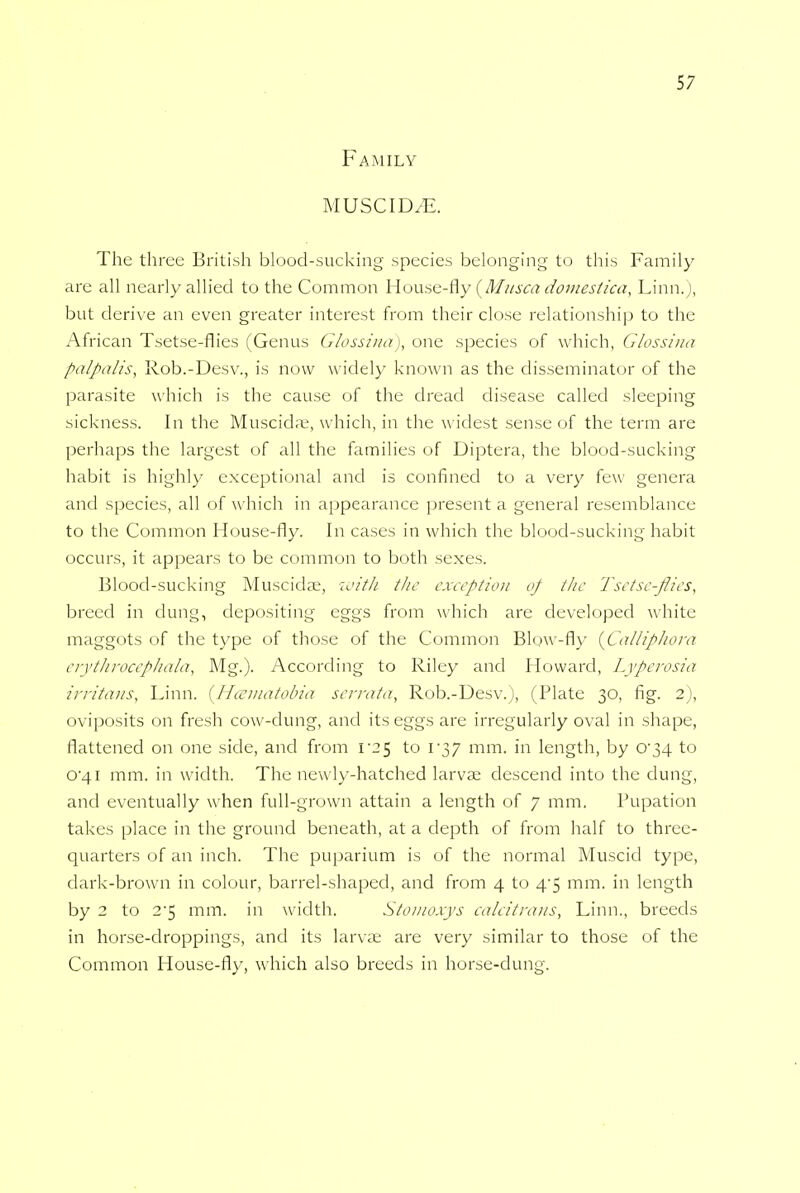 Family MUSCID/E. The three British blood-sucking species belonging to this Family are all nearly allied to the Common House-fly {Musca domestica, Linn.), but derive an even greater interest from their close relationship to the African Tsetse-flies (Genus Glossina), one species of w hich, Glossina palpalis, Rob.-Desv., is now widely known as the disseminator of the parasite which is the cause of the dread disease called sleeping sickness. In the Muscidas, which, in the widest sense of the term are perhaps the largest of all the families of Diptera, the blood-sucking habit is highly exceptional and is confined to a very few genera and species, all of which in appearance present a general resemblance to the Common House-fly. In cases in which the blood-sucking habit occurs, it appears to be common to both sexes. Blood-sucking Muscidae, with the exception of the Tsetse-flies, breed in dung, depositing eggs from which are developed white maggots of the type of those of the Common Blow-fly {Calliphora erythrocephala, Mg.). According to Riley and Howard, Lyperosia irritans, Linn. (Heematobia serrata, Rob.-Desv.), (Plate 30, fig. 2), oviposits on fresh cow-dung, and its eggs are irregularly oval in shape, flattened on one side, and from 1*25 to 137 mm. in length, by 0*34 to 041 mm. in width. The newly-hatched larvae descend into the dung, and eventually when full-grown attain a length of 7 mm. Pupation takes place in the ground beneath, at a depth of from half to three- quarters of an inch. The puparium is of the normal Muscid type, dark-brown in colour, barrel-shaped, and from 4 to 4*5 mm. in length by 2 to 2'5 mm. in width. Stomoxys calcitrans, Linn., breeds in horse-droppings, and its larvae are very similar to those of the Common House-fly, which also breeds in horse-dung.