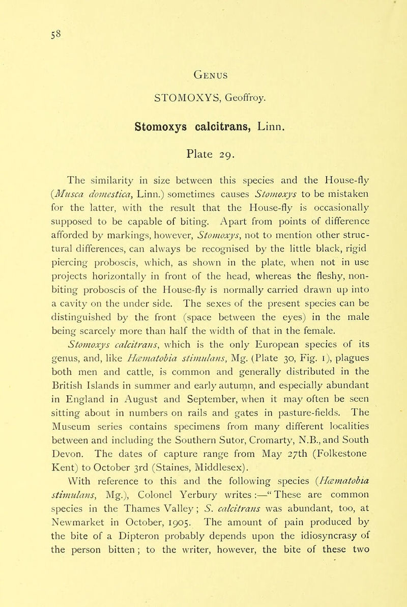 Genus STOMOXYS, Geoffroy. Stomoxys calcitrans, Linn. Plate 29. The similarity in size between this species and the House-fly {Musca domestica, Linn.) sometimes causes Stomoxys to be mistaken for the latter, with the result that the House-fly is occasionally supposed to be capable of biting. Apart from points of difference afforded by markings, however, Stomoxys, not to mention other struc- tural differences, can always be recognised by the little black, rigid piercing proboscis, which, as shown in the plate, when not in use projects horizontally in front of the head, whereas the fleshy, non- biting proboscis of the House-fly is normally carried drawn up into a cavity on the under side. The sexes of the present species can be distinguished by the front (space between the eyes) in the male being scarcely more than half the width of that in the female. Stomoxys calcitrans, which is the only European species of its genus, and, like Hcematobia stimulans, Mg. (Plate 30, Fig. 1), plagues both men and cattle, is common and generally distributed in the British Islands in summer and early autumn, and especially abundant in England in August and September, when it may often be seen sitting about in numbers on rails and gates in pasture-fields. The Museum series contains specimens from many different localities between and including the Southern Sutor, Cromarty, N.B., and South Devon. The dates of capture range from May 27th (Folkestone Kent) to October 3rd (Staines, Middlesex). With reference to this and the following species {Hcematobia stimulans, Mg.), Colonel Yerbury writes :— These are common species in the Thames Valley; 5. calcitrans was abundant, too, at Newmarket in October, 1905. The amount of pain produced by the bite of a Dipteron probably depends upon the idiosyncrasy of the person bitten; to the writer, however, the bite of these two