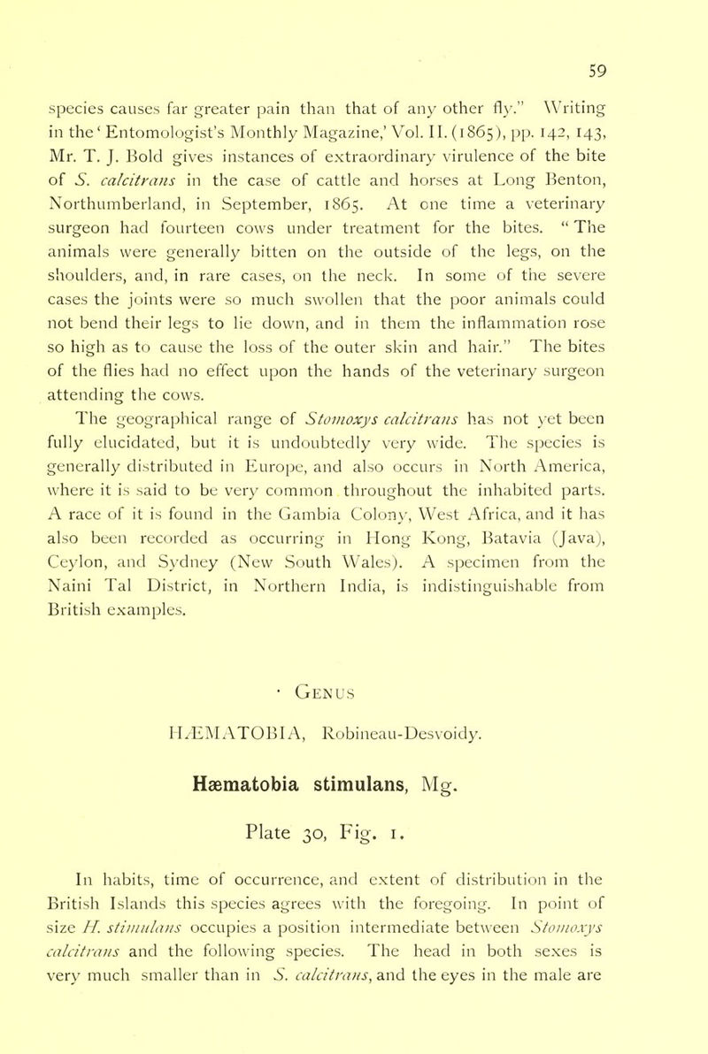 species causes far greater pain than that of any other fly. Writing in the' Entomologist's Monthly Magazine,' Vol. II. (1865 ), pp. 142, 143, Mr. T. J. Bold gives instances of extraordinary virulence of the bite of S. calcitrans in the case of cattle and horses at Long Benton, Northumberland, in September, 1865. At one time a veterinary surgeon had fourteen cows under treatment for the bites.  The animals were generally bitten on the outside of the legs, on the shoulders, and, in rare cases, on the neck. In some of the severe cases the joints were so much swollen that the poor animals could not bend their legs to lie down, and in them the inflammation rose so high as to cause the loss of the outer skin and hair. The bites of the flies had no effect upon the hands of the veterinary surgeon attending the cows. The geographical range of Stomoxys calcitrans has not yet been fully elucidated, but it is undoubtedly very wide. The species is generally distributed in Europe, and also occurs in North America, where it is said to be very common throughout the inhabited parts. A race of it is found in the Gambia Colony, West Africa, and it has also been recorded as occurring in Hong Kong, Batavia (Java), Ceylon, and Sydney (New South Wales). A specimen from the Naini Tal District, in Northern India, is indistinguishable from British examples. • Genus H/EMATOBIA, Robineau-Desvoidy. Haematobia stimulans, Mg. Plate 30, Fig. r. In habits, time of occurrence, and extent of distribution in the British Islands this species agrees with the foregoing. In point of size H. stimulans occupies a position intermediate between Stomoxys calcitrans and the following species. The head in both sexes is very much smaller than in ^. calcitrans, and the eyes in the male are
