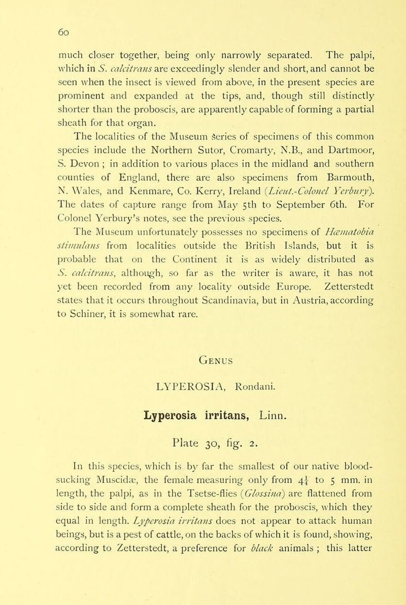 much closer together, being only narrowly separated. The palpi, which in 6. calcitrant are exceedingly slender and short, and cannot be seen when the insect is viewed from above, in the present species are prominent and expanded at the tips, and, though still distinctly shorter than the proboscis, are apparently capable of forming a partial sheath for that organ. The localities of the Museum series of specimens of this common species include the Northern Sutor, Cromarty, N.B., and Dartmoor, S. Devon ; in addition to various places in the midland and southern counties of England, there are also specimens from Barmouth, N. Wales, and Kenmare, Co. Kerry, Ireland {Lieut.-Colonel Yerbury). The dates of capture range from May 5th to September 6th. For Colonel Yerbury's notes, see the previous species. The Museum unfortunately possesses no specimens of Hcematobia stimulans from localities outside the British Islands, but it is probable that on the Continent it is as widely distributed as S. calcitrans, although, so far as the writer is aware, it has not yet been recorded from any locality outside Europe. Zetterstedt states that it occurs throughout Scandinavia, but in Austria, according to Schiner, it is somewhat rare. Genus LYPEROSIA, Rondani. Lyperosia irritans, Linn. Plate 30, fig. 2. In this species, which is by far the smallest of our native blood- sucking Muscidae, the female measuring only from 4^ to 5 mm. in length, the palpi, as in the Tsetse-flies {Glossina) are flattened from side to side and form a complete sheath for the proboscis, which they equal in length. Lyperosia irritans does not appear to attack human beings, but is a pest of cattle, on the backs of which it is found, showing, according to Zetterstedt, a preference for black animals ; this latter