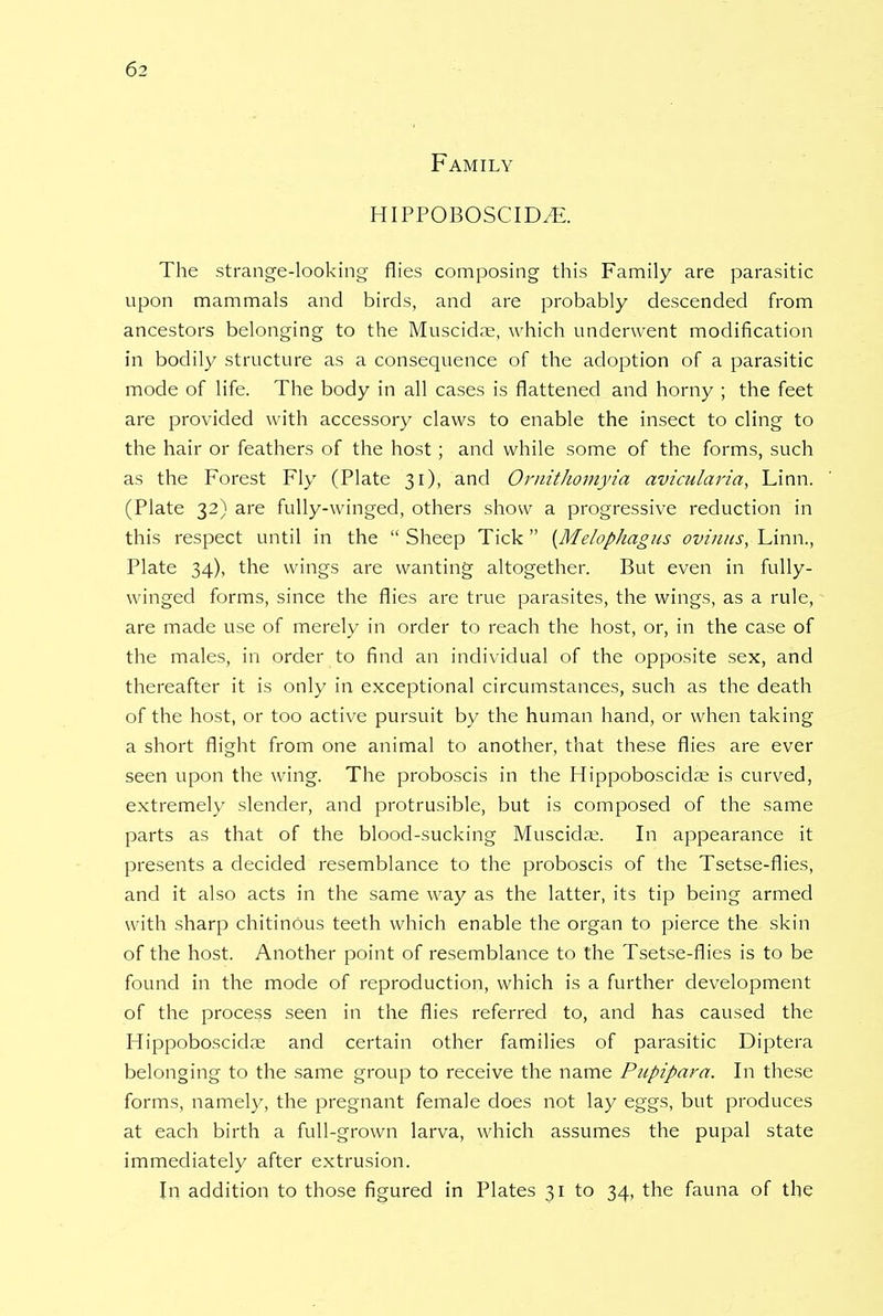 Family hippoboscidae. The strange-looking flies composing this Family are parasitic upon mammals and birds, and are probably descended from ancestors belonging to the Muscidae, which underwent modification in bodily structure as a consequence of the adoption of a parasitic mode of life. The body in all cases is flattened and horny ; the feet are provided with accessory claws to enable the insect to cling to the hair or feathers of the host; and while some of the forms, such as the Forest Fly (Plate 31), and Ornithomyia avicularia, Linn. (Plate 32) are fully-winged, others show a progressive reduction in this respect until in the  Sheep Tick (Melophagus ovinus, Linn., Plate 34), the wings are wanting altogether. But even in fully- winged forms, since the flies are true parasites, the wings, as a rule, are made use of merely in order to reach the host, or, in the case of the males, in order to find an individual of the opposite sex, and thereafter it is only in exceptional circumstances, such as the death of the host, or too active pursuit by the human hand, or when taking a short flight from one animal to another, that these flies are ever seen upon the wing. The proboscis in the Hippoboscidae is curved, extremely slender, and protrusible, but is composed of the same parts as that of the blood-sucking Muscidae. In appearance it presents a decided resemblance to the proboscis of the Tsetse-flies, and it also acts in the same way as the latter, its tip being armed with sharp chitinOus teeth which enable the organ to pierce the skin of the host. Another point of resemblance to the Tsetse-flies is to be found in the mode of reproduction, which is a further development of the process seen in the flies referred to, and has caused the Hippoboscidae and certain other families of parasitic Diptera belonging to the same group to receive the name Pupipara. In these forms, namely, the pregnant female does not lay eggs, but produces at each birth a full-grown larva, which assumes the pupal state immediately after extrusion. In addition to those figured in Plates 31 to 34, the fauna of the