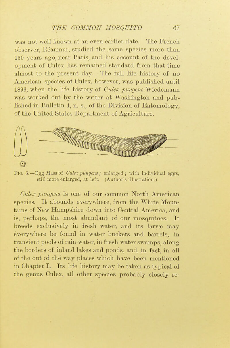 was not well known at an even earlier date. The French observer, Beaumur, studied the same species more than 150 years ago, near Paris, and his account of the devel- oiDment of Culex has remained standard from that time almost to the present day. The full life history of no American species of Culex, however, was published until 1896, when the life history of Culex pungens Wiedemann was worked out by the writer at Washington and pub- lished in Bulletin 4, n. s., of the Division of Entomology, of the United States Department of Agriculture. Fig. 6.—Egg Mass of Culex pungens ; enlarged; with individual eggs, still more enlarged, at left. (Author's illustration.) Culex pungens is one of our common North American species. It abounds everywhere, from the White Moun- tains of New Hampshire down into Central America, and is, perhaps, the most abundant of our mosquitoes. It breeds exclusively in fresh water, and its larvae may everywhere be found in water buckets and barrels, in transient pools of rain-water, in fresh-water swamps, along the borders of inland lakes and ponds, and, in fact, in all of the out of the way places which have been mentioned in Chapter I. Its life history may be taken as typical of the genus Culex, all other species probably closely re-