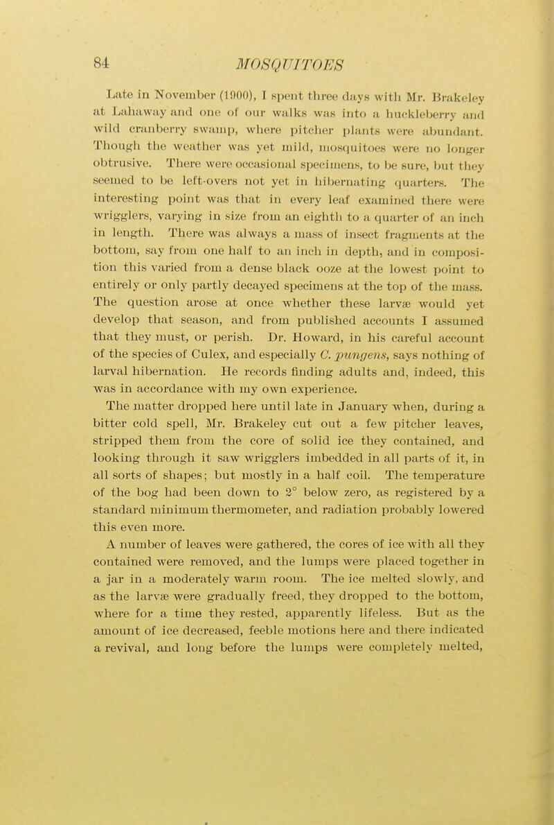 Late in November (1!)00), I spent three days with Mr. Brakeley at Lahaway and one of our walks was into a huckleberry and wild cranberry swamp, where pitcher plant- were abundant. Though the weather was yet mild, mosquitoes were no longer Obtrusive. There were occasional specimens, to he sure, hut the} seemed to he left-overs not yet in hihernat in- quarters. The interesting point was that in every leaf examined there were wrigglers, varying in size from an eighth to a quarter of an inch in length. There was always a mass ol insect fragments at the bottom, say from one half to an inch in depth, and in composi- tion this varied from a dense black ooze at the lowest point to entirely or only partly decayed specimens at the top of the mass. The question arose at once whether these larvae would yet develop that season, and from published accounts I assumed that they must, or perish. Dr. Howard, in his careful account of the species of Culex, and especially C. pungens, says nothing of larval hibernation. He records finding adults and, indeed, this was in accordance with my own experience. The matter dropped here until late in January when, during a bitter cold spell, Mr. Brakeley cut out a few pitcher leaves, stripped them from the core of solid ice they contained, and looking through it saw wrigglers imbedded in all parts of it, in all sorts of shapes; but mostly in a half coil. The temperature of the bog had been down to 2° below zero, as registered by a standard minimum thermometer, and radiation probably lowered this even more. A number of leaves were gathered, the cores of ice with all they contained were removed, and the lumps were placed together in a jar in a moderately warm room. The ice melted slowly, and as the larva? were gradually freed, they dropped to the bottom, where for a time they rested, apparently lifeless. But as the amount of ice decreased, feeble motions here and there indicated a revival, and long before the lumps were completely melted,