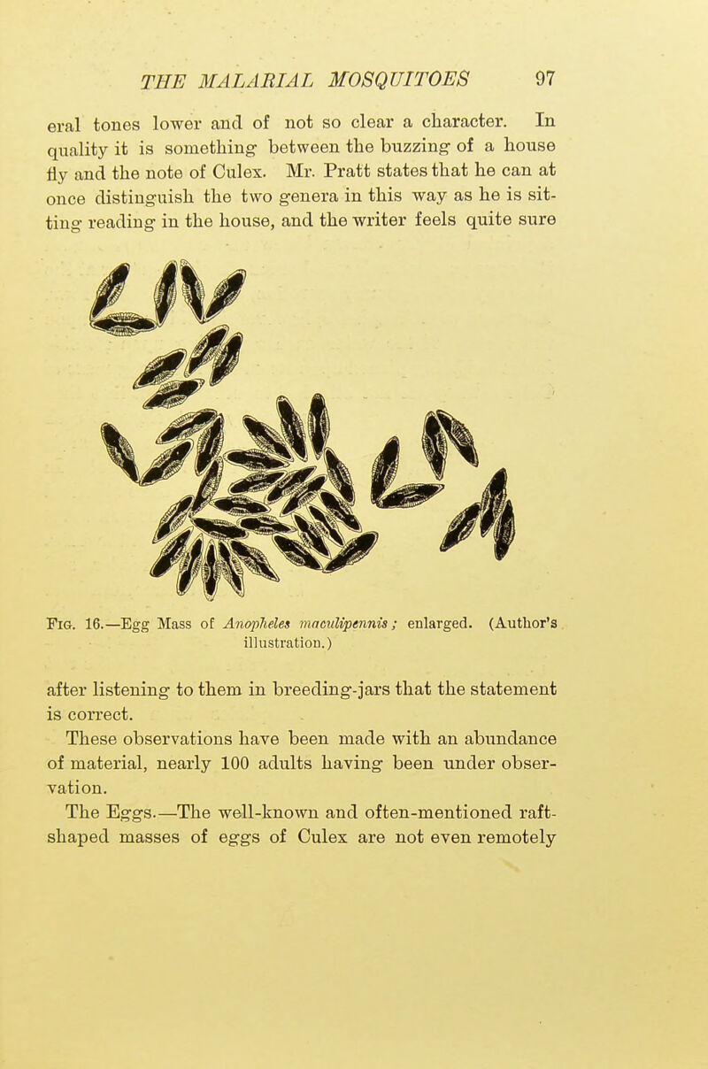 eral tones lower and of not so clear a character. In quality it is something between the buzzing- of a house fly and the note of Culex. Mr. Pratt states that he can at once distinguish the two genera in this way as he is sit- ting reading in the house, and the writer feels quite sure Fig. 16.—Egg Mass of Anopheles maculipennis; enlarged. (Author's illustration.) after listening to them in breeding-jars that the statement is correct. These observations have been made with an abundance of material, nearly 100 adults having been under obser- vation. The Eggs.—The well-known and often-mentioned raft- shaped masses of eggs of Culex are not even remotely