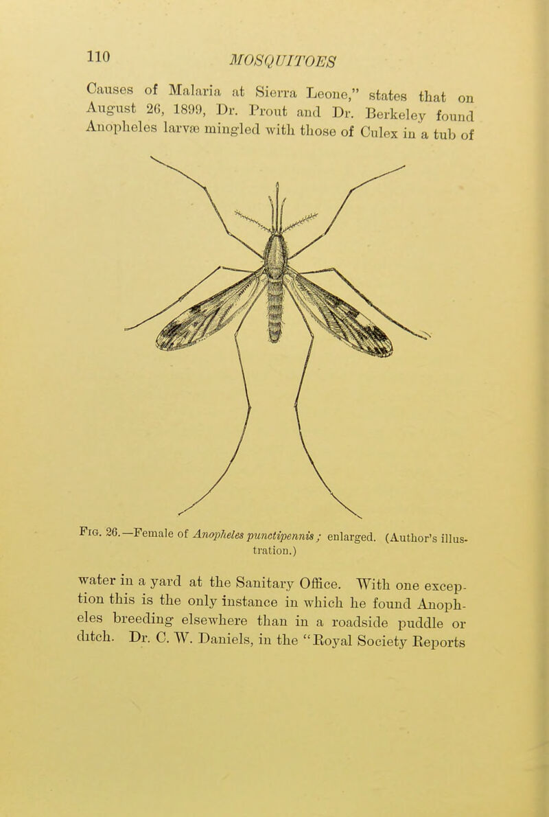 Causes of Malaria at Sierra Leone, states that on August 26, 1899, Dr. Prout and Dr. Berkeley found Anopheles larvae mingled with those of Culex in a tub of Fig. 26.—Female of Anopheles punctipennis ; enlarged. (Author's illus- tration.) water in a yard at the Sanitary Office. With one excep- tion this is the only instance in which he found Anoph- eles breeding elsewhere than in a roadside puddle or ditch. Dr. C. W. Daniels, in the Royal Society Reports