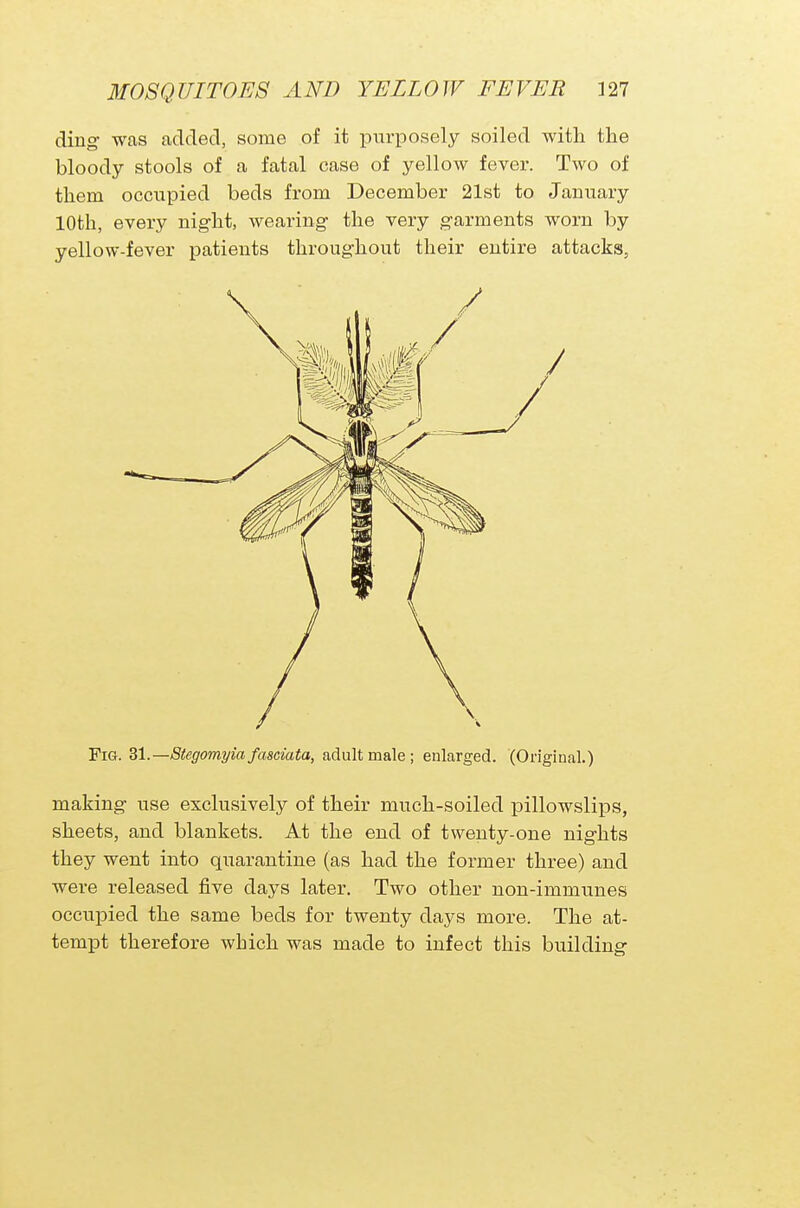 ding was added, some of it purposely soiled with the bloody stools of a fatal case of yellow fever. Two of them occupied beds from December 21st to January 10th, every night, wearing the very garments worn by yellow-fever patients throughout their entire attacks, Fig. Zl.—Stegomyia fasciata, adult male ; enlarged. (Original.) making use exclusively of their much-soiled pillowslips, sheets, and blankets. At the end of twenty-one nights they went into quarantine (as had the former three) and were released five days later. Two other non-immunes occupied the same beds for twenty days more. The at- tempt therefore which was made to infect this building