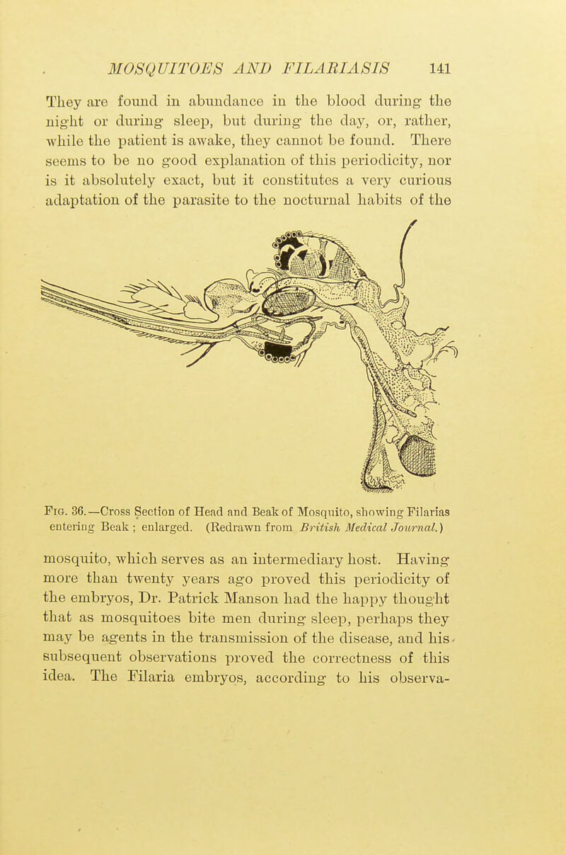 They are found in abundance in the blood during the night or during- sleep, but during the day, or, rather, while the patient is awake, they cannot be found. There seems to be no good explanation of this periodicity, nor is it absolutely exact, but it constitutes a very curious adaptation of the parasite to the nocturnal habits of the Pig. 36.—Cross Section of Head and Beak of Mosquito, showing Filarias entering Beak; enlarged. (Redrawn from British Medical Journal.) mosquito, which serves as an intermediary host. Having more than twenty years ago proved this periodicity of the embryos, Dr. Patrick Manson had the happy thought that as mosquitoes bite men during sleep, perhaps they may be agents in the transmission of the disease, and his • subsequent observations proved the correctness of this idea. The Filaria embryos, according to his observa-