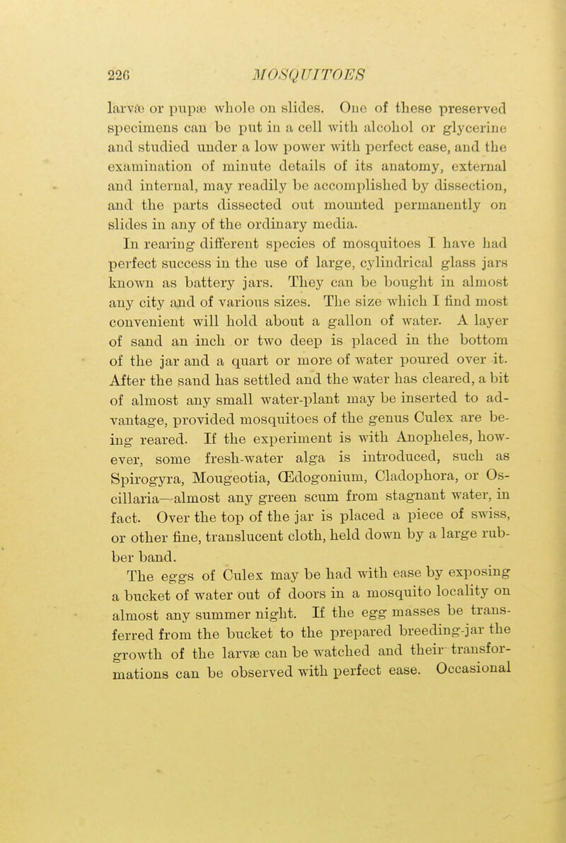 larva? or pupa? whole on slides. One of these preserved specimens can be put in a cell with alcohol or glycerine and studied under a low power with perfect ease, and the examination of minute details of its anatomy, external and internal, may readily be accomplished by dissection, and the parts dissected out mounted permanently on slides in any of the ordinary media. In rearing different species of mosquitoes I have had perfect success in the use of large, cylindrical glass jars known as battery jars. They can be bought in almost any city and of various sizes. The size which I find most convenient will hold about a gallon of water. A layer of sand an inch or two deep is placed in the bottom of the jar and a quart or more of water poured over it. After the sand has settled and the water has cleared, a bit of almost any small water-plant may be inserted to ad- vantage, provided mosquitoes of the genus Culex are be- ing reared. If the experiment is with Anopheles, how- ever, some fresh-water alga is introduced, such as Spirogyra, Mougeotia, (Edogonium, Cladophora, or Os- cillaria—almost any green scum from stagnant water, in fact. Over the top of the jar is placed a piece of swiss, or other fine, translucent cloth, held down by a large rub- ber band. The eggs of Culex may be had with ease by exposing a bucket of water out of doors in a mosquito locality on almost any summer night. If the egg masses be trans- ferred from the bucket to the prepared breeding-jar the growth of the larvse can be watched and their transfor- mations can be observed with perfect ease. Occasional