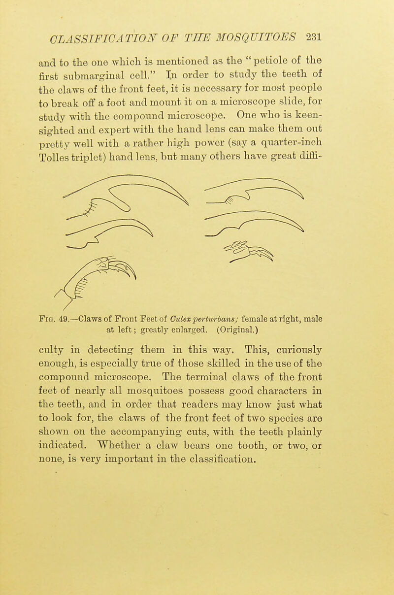 and to the one which is mentioned as the  petiole of the first submarginal cell. In order to study the teeth of the claws of the front feet, it is necessary for most people to break off a foot and mount it on a microscope slide, for study with the compound microscope. One who is keen- sighted and expert with the hand lens can make them out pretty well with a rather high power (say a quarter-inch Tolles triplet) hand lens, but many others have great diffi- Fig. 49.—Claws of Front Feet of Culex -perturbans; female at right, male at left; greatly enlarged. (Original.) culty iu detecting them in this way. This, curiously enough, is especially true of those skilled in the use of the compound microscope. The terminal claws of the front feet of nearly all mosquitoes possess good characters in the teeth, and in order that readers may know just what to look for, the claws of the front feet of two species are showu on the accompanying cuts, with the teeth plainly indicated. Whether a claw bears one tooth, or two, or none, is very important in the classification.