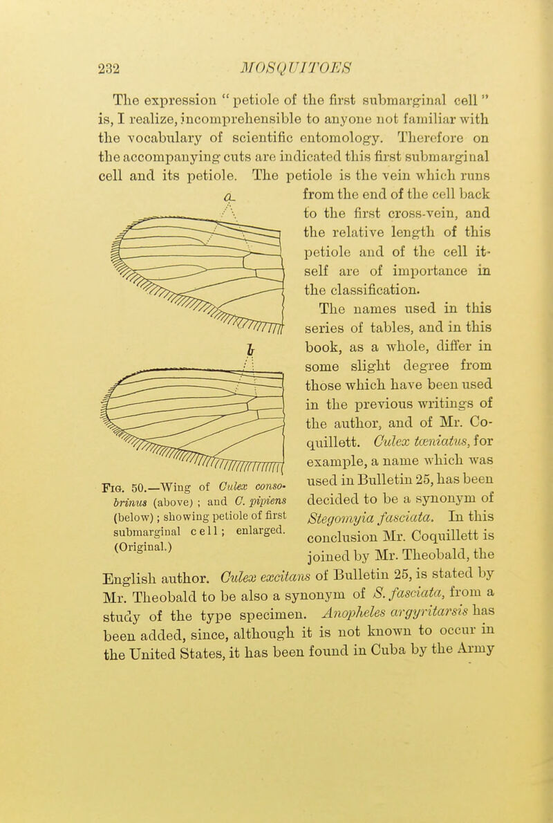 The expression  petiole of the first submarginal cell  is, I realize, incomprehensible to anyone not familiar with the vocabulary of scientific entomology. Therefore on the accompanying cuts are indicated this first submarginal cell and its petiole. The petiole is the vein which runs from the end of the cell back to the first cross-vein, and the relative length of this petiole and of the cell it- self are of importance in the classification. The names used in this series of tables, and in this book, as a whole, differ in some slight degree from those which have been used in the previous writings of the author, and of Mr. Co- quillett. Culex tcmiatus, for example, a name which was used in Bulletin 25, has been decided to be a synonym of Stegomyia fasciata. In this conclusion Mr. Coquillett is joined by Mr. Theobald, the Fig. 50.—Wing of Culex conso- brinus (above) ; and C. pipiens (below); showing petiole of first submarginal cell; enlarged. (Original.) English author. Culex excitans of Bulletin 25, is stated by Mr. Theobald to be also a synonym of S. fasciata, from a study of the type specimen. Anopheles argyritarsis has been added, since, although it is not known to occur in the United States, it has been found in Cuba by the Army