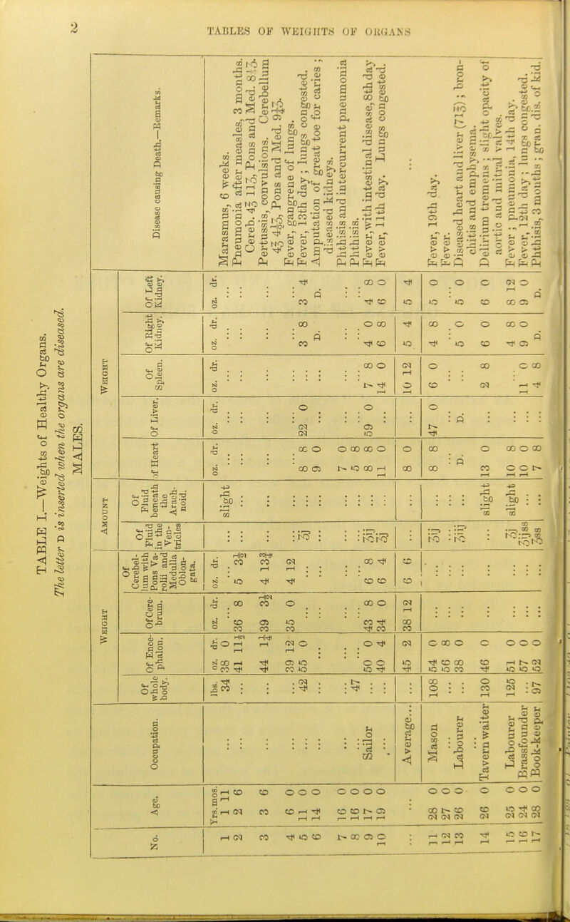O 8 1—I a ^ 02 ID « \ i CO K bo a a s MO o 'o P- o 5 ^»> ^3 HI ^''b C5 .5 a b '-I ci .t; 0^ 2 s X3 a a> — S !- fc. •- o o -a Weioht Of Left Kidney. . . . . . . °° ^ . : : : : o : : g CO !C 0 0 c oq 0 : d to 0 CO CO 05 Of Right •S . . . . °o . . °° . : : : : fi : i g CO Tjt «) CO _ 0 0 CC 0 : Q ^ 0 CO 'to Of Spleen. ^ 00 o O .-1 10 12 0 00 C CO CO ' ' (jq ' ^ Of Liver. oz. dr. 22 0 59 0 0 _ : p : : : : )f Heart _ _ _ _ oc 0 0 00 X 0 N ' ' ' ' 00 0> 1> O 00 1 0 00 00 C CO 0 30 : p 00 CO c c 1—t f—(f—1 Amount Of Fluid beneath the Arach- noid. slight ... slight slight Of Fluid iu the Ven- tricles : : : : : .'hoKo' Weight Of Cerebel- lum with Pons Va- rolii and Medulla Oblon- gata. >H CO CO (M 00 : '. : N ' c ^ Tfi ' ' ' ' CO 0 CO Of Cere- .g _ 00 CO 0 _ _ 00 0 a ■ CO oj 0 ' ' ' CO ° CO CO CO Tf CO 38 12 Of Ence- pilaiUU. -I : : : noof-i r)< c5io' ''oc c 00 0 c 000 Tjl CO 00 CO rH r^ (M 10 lO CO lO 0 0 ©•So fc.Q ^ . . . oq . . . . ^ CO ; ; ; : : ; : 00 . . 0 >o . 0 • • CO • S Occupation. 1 Sailor Average... Mason Labourer Tavern waiter Labourer Brassfounder Book-keeper Age. SrHtO to 000 0000 000 0 COO : crHoq CO CO r-< T)< CO CO 1^ C5 • S £: S S J3 S (>H ^ — No. r-^ 1-^ ^ '^