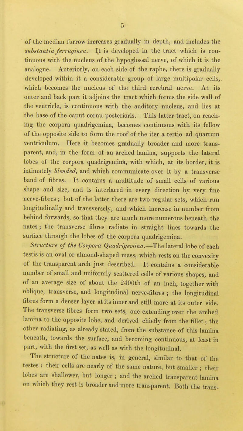of the median furrow increases gradually in depth, and includes the substantia ferruginea. It is developed in the tract which is con- tinuous with the nucleus of the hypoglossal nerve, of which it is the analogue. Anteriorly, on each side of the raphe, there is gradually developed within it a considerable group of large multipolar cells,, which becomes the nucleus of the third cerebral nerve. At its outer and back part it adjoins the tract which forms the side wall of the ventricle, is continuous with the auditory nucleus, and lies at the base of the caput cornu posterioris. This latter tract, on reach- ing the corpora quadrigemina, becomes continuous with its fellow of the opposite side to form the roof of the iter a tertio ad quartum ventriculum. Here it becomes gradually broader and more trans- parent, and, in the form of an arched lamina, supports the lateral lobes of the corpora quadrigemina, with which, at its border, it is intimately blended, and which communicate over it by a transverse band of fibres. It contains a multitude of small cells of various shape and size, and is interlaced in every direction by very fine nerve-fibres ; but of the latter there are two regular sets, which run longitudinally and transvei'sely, and which increase in number from behind forwards, so that they are much more numerous beneath the nates ; the transverse fibres radiate in straight lines towards the surface through the lobes of the corpora quadrigemina. Structure of the Corpora Quadrigemina.—The lateral lobe of each testis is an oval or almond-shaped mass, which rests on the convexity of the transparent arch just described. It contains a considerable number of small and uniformly scattered cells of various shapes, and of an average size of about the 2400th of an inch, together vpith oblique, transverse, and longitudinal nerve-fibres ; the longitudinal fibres form a denser layer at its inner and still more at its outer side. The transverse fibres form two sets, one extending over the arched lamina to the opposite lobe, and derived chiefly from the fillet; the other radiating, as already stated, from the substance of this lamina beneath, towards the surface, and becoming continuous, at least in part, with the first set, as well as with the longitudinal. The structure of the nates is, in general, similar to that of the testes : their cells are nearly of the same nature, but smaller ; their lobes are shallower, but longer ; and the arched transparent lamina on which they rest is broader and more transparent. Both the trans-