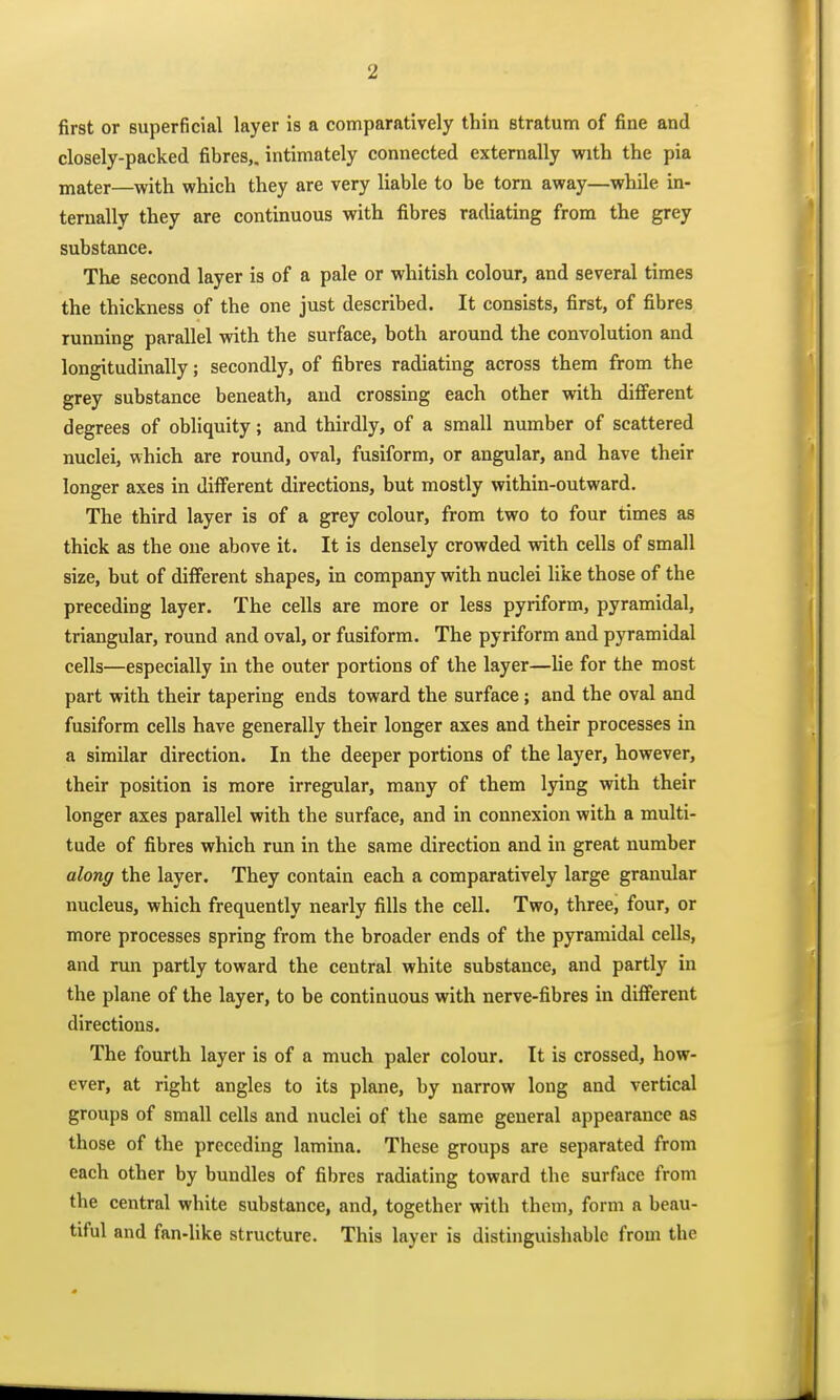 first or superficial layer is a comparatively thin stratum of fine and closely-packed fibres,, intimately connected externally with the pia mater—with which they are very Uable to be torn away—while in- ternally they are continuous with fibres radiating from the grey substance. The second layer is of a pale or whitish colour, and several times the thickness of the one just described. It consists, first, of fibres running parallel with the surface, both around the convolution and longitudinally; secondly, of fibres radiating across them from the grey substance beneath, and crossing each other with different degrees of obliquity; and thirdly, of a small number of scattered nuclei, which are round, oval, fusiform, or angular, and have their longer axes in different directions, but mostly within-outward. The third layer is of a grey colour, from two to four times as thick as the one above it. It is densely crowded with cells of small size, but of different shapes, in company with nuclei like those of the preceding layer. The cells are more or less pyriform, pyramidal, triangular, round and oval, or fusiform. The pyriform and pyramidal cells—especially in the outer portions of the layer—He for the most part with their tapering ends toward the surface; and the oval and fusiform cells have generally their longer axes and their processes in a similar direction. In the deeper portions of the layer, however, their position is more irregular, many of them lying with their longer axes parallel with the surface, and in connexion with a multi- tude of fibres which run in the same direction and in great number along the layer. They contain each a comparatively large granular nucleus, which frequently nearly fills the cell. Two, three, four, or more processes spring from the broader ends of the pyramidal cells, and run partly toward the central white substance, and partly in the plane of the layer, to be continuous with nerve-fibres in different directions. The fourth layer is of a much paler colour. It is crossed, how- ever, at right angles to its plane, by narrow long and vertical groups of small cells and nuclei of the same general appearance as those of the preceding lamina. These groups are separated from each other by bundles of fibres radiating toward the surface from the central white substance, and, together with them, form a beau- tiful and fan-like structure. This layer is distinguishable from the