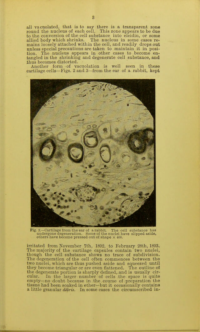 digitised image 3