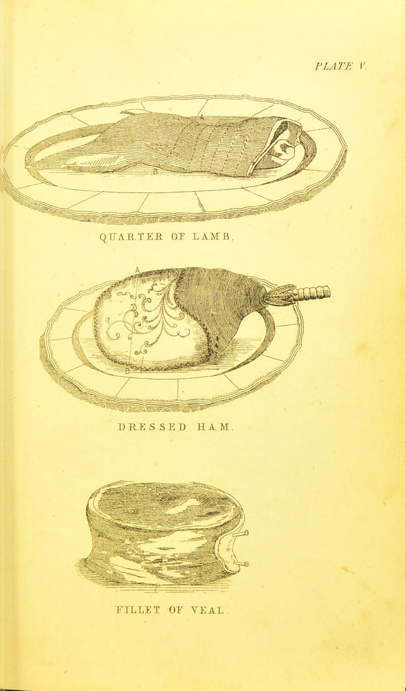 VLATE V. Q^UARTEJi OIT LAMB, TTLLET OT TEAL I